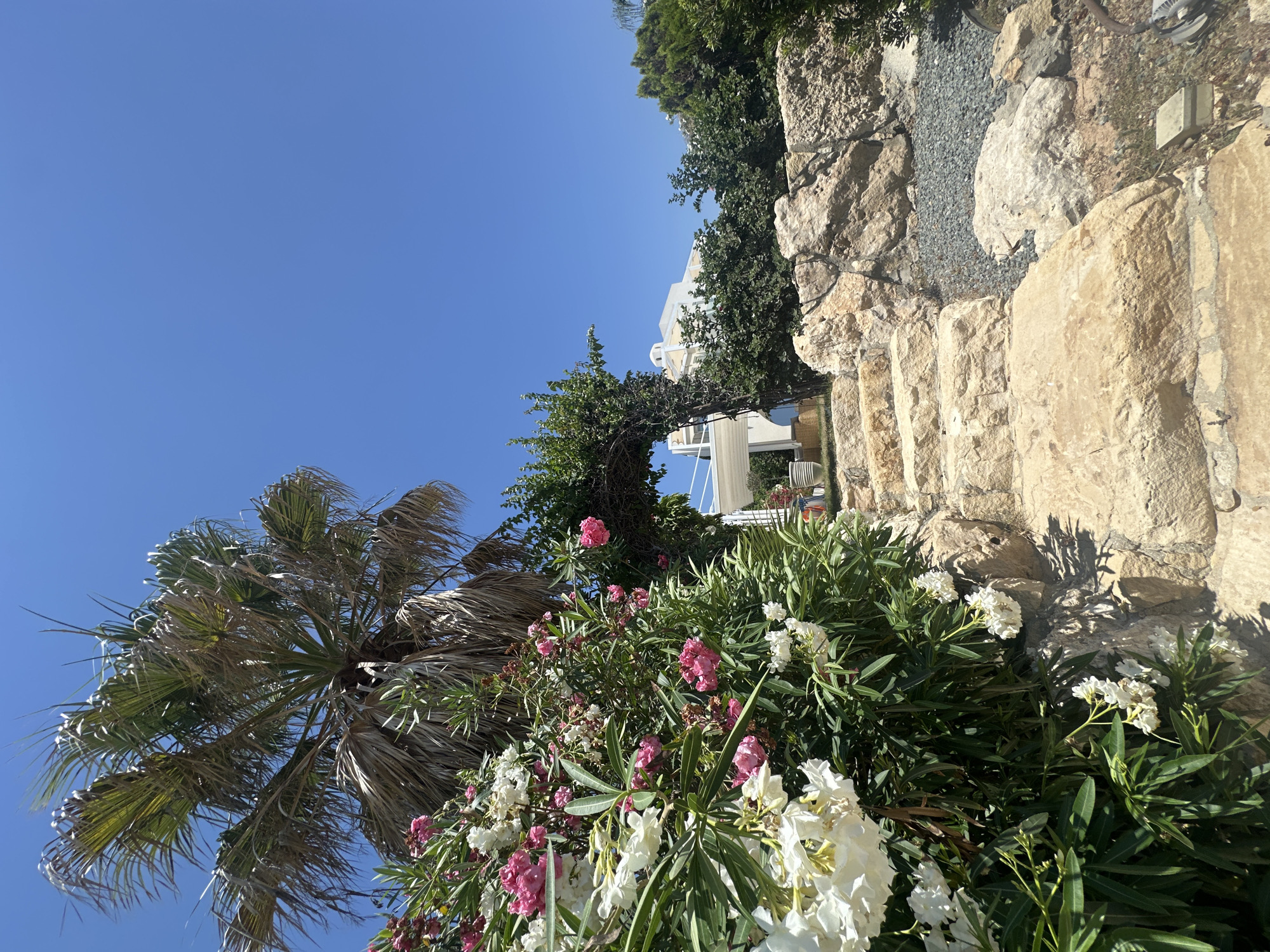 Sunny morning at a seaside resort in Kissonerga, Cyprus
