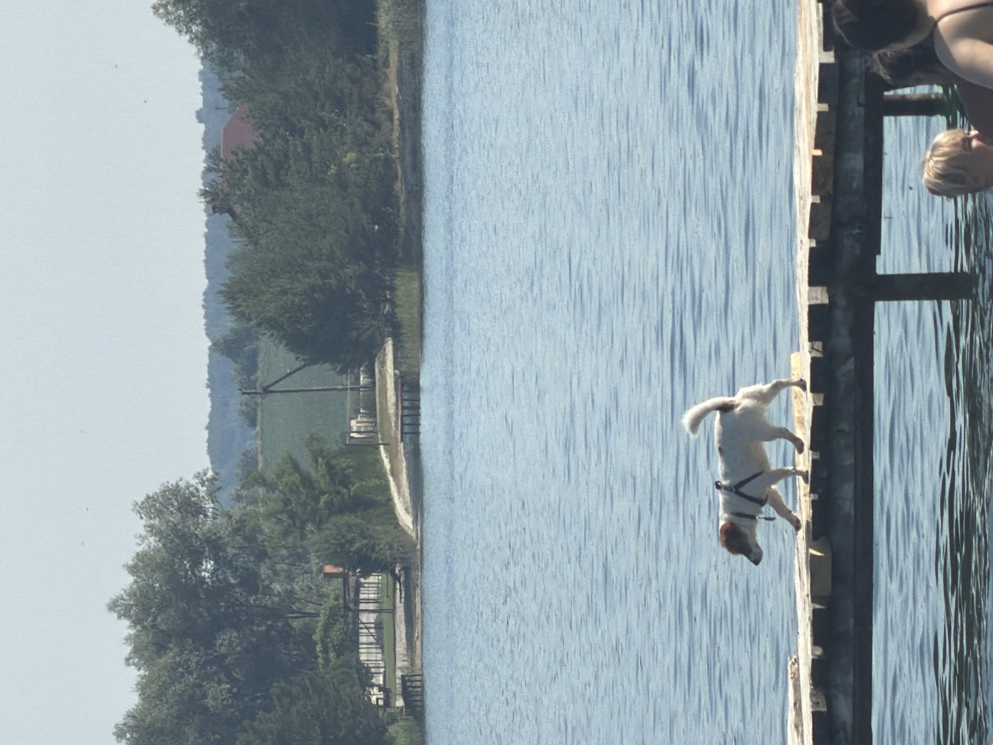 Sunny lakeside morning in Verbizh, Ukraine