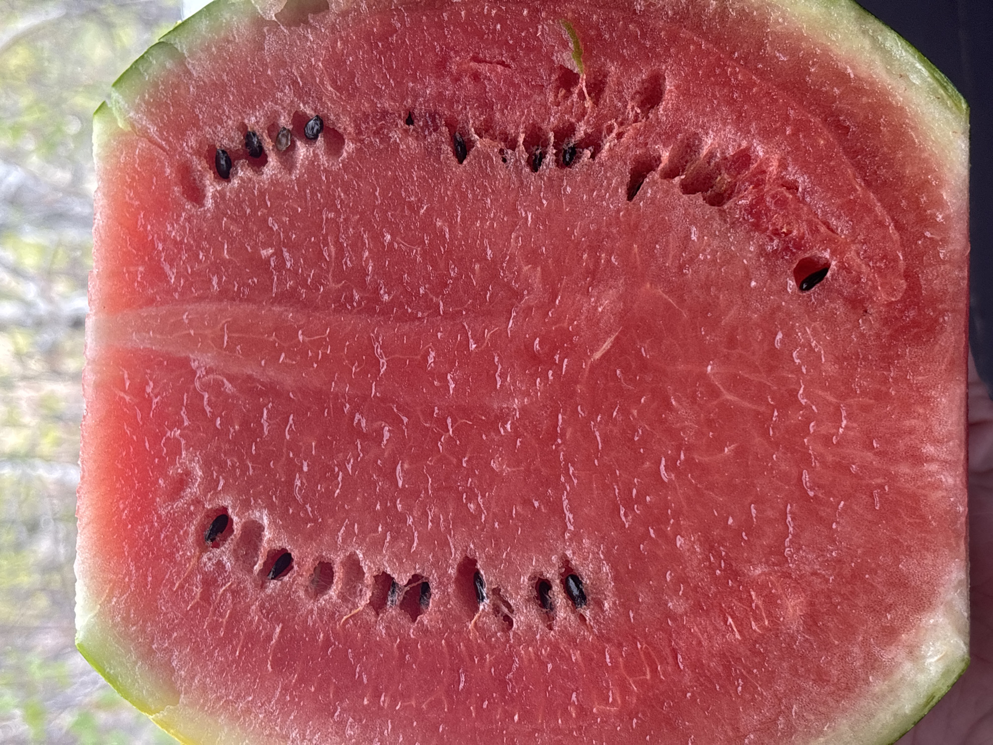 Cut watermelon photographed in Sofia, Bulgaria