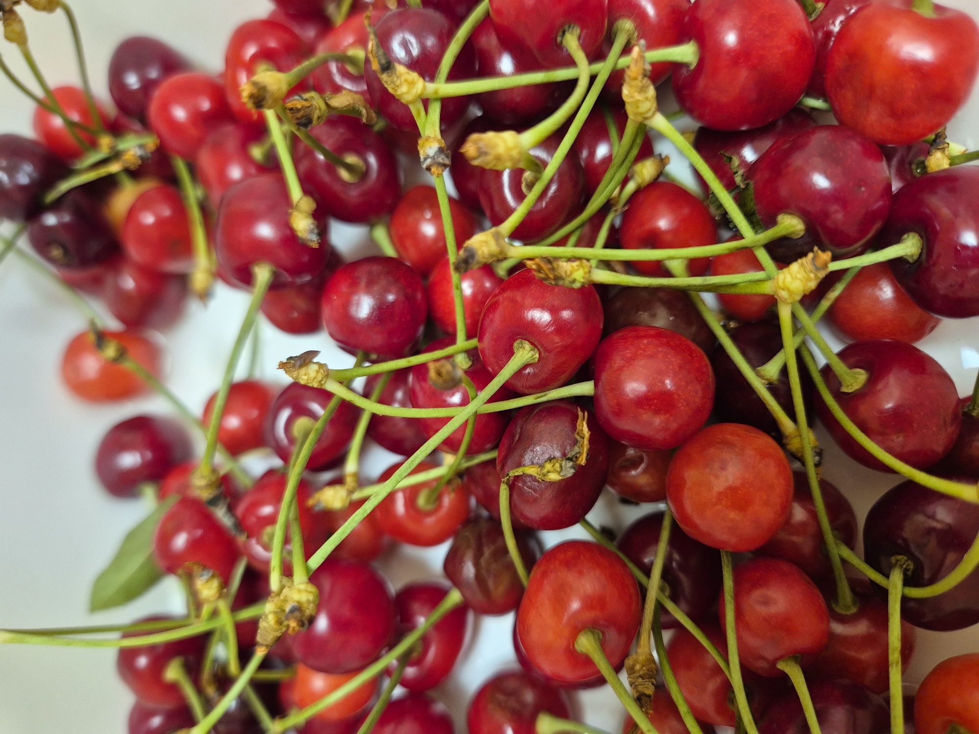 Woman in orange jacket spotted indoors, cherries photographed