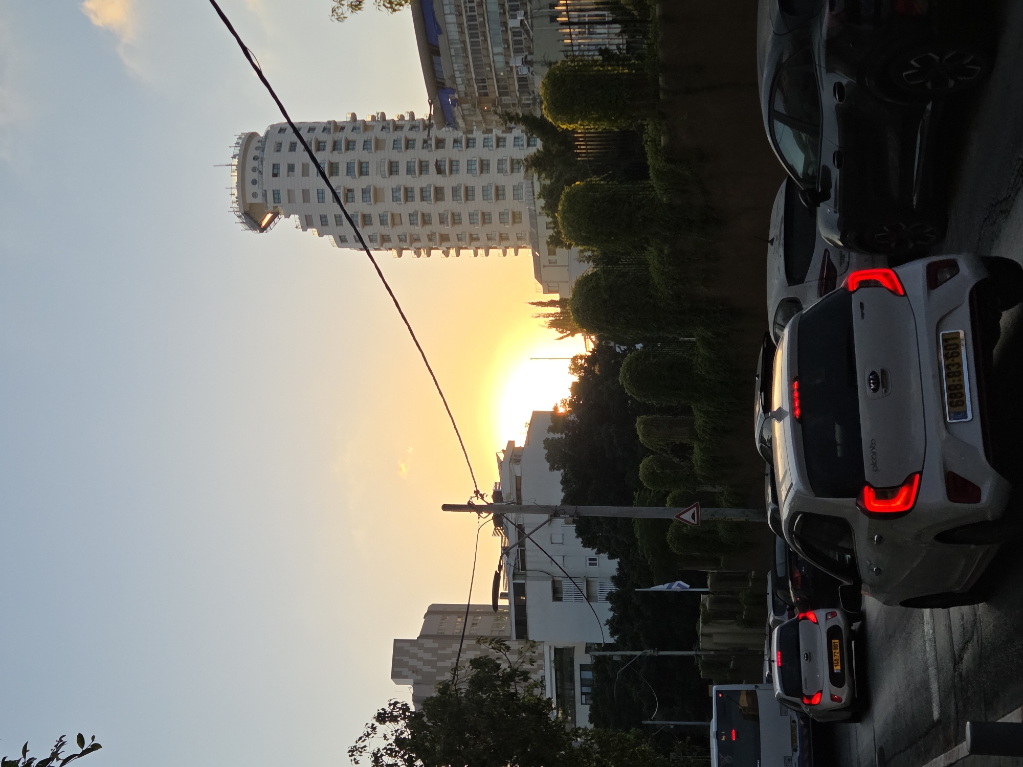Tel Aviv at golden hour: streets, cats, and a dog walk