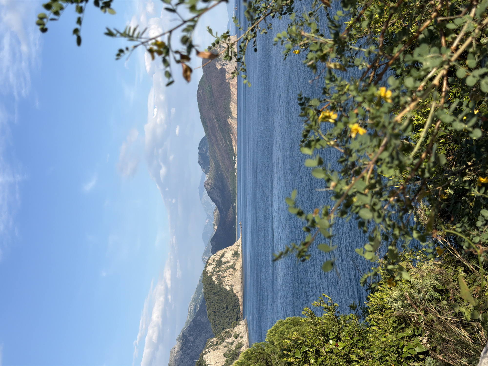 Dog and owner descend clifftop stairs in coastal Montenegro