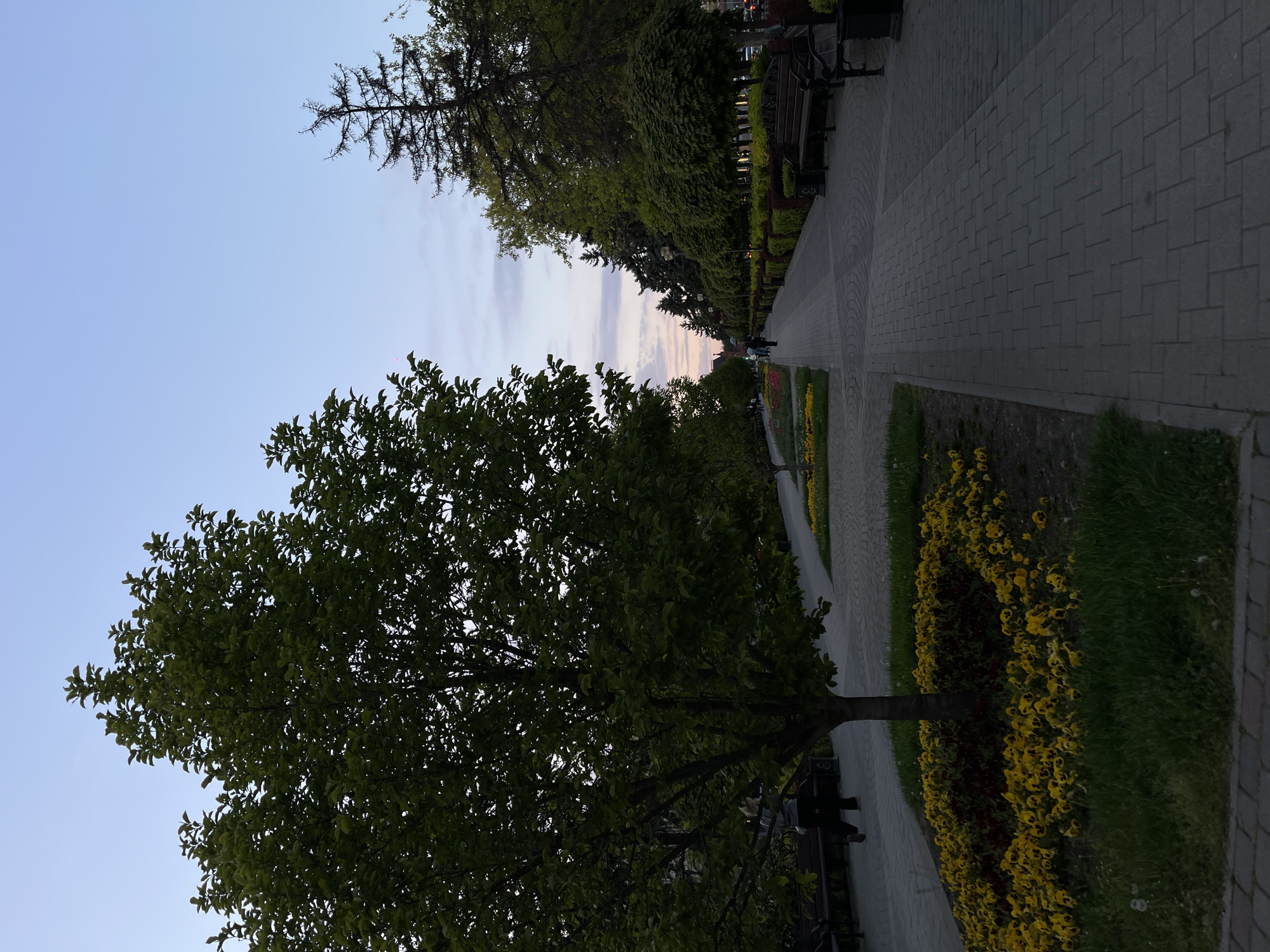 Street musician performs during evening hours in Krasnodar parks