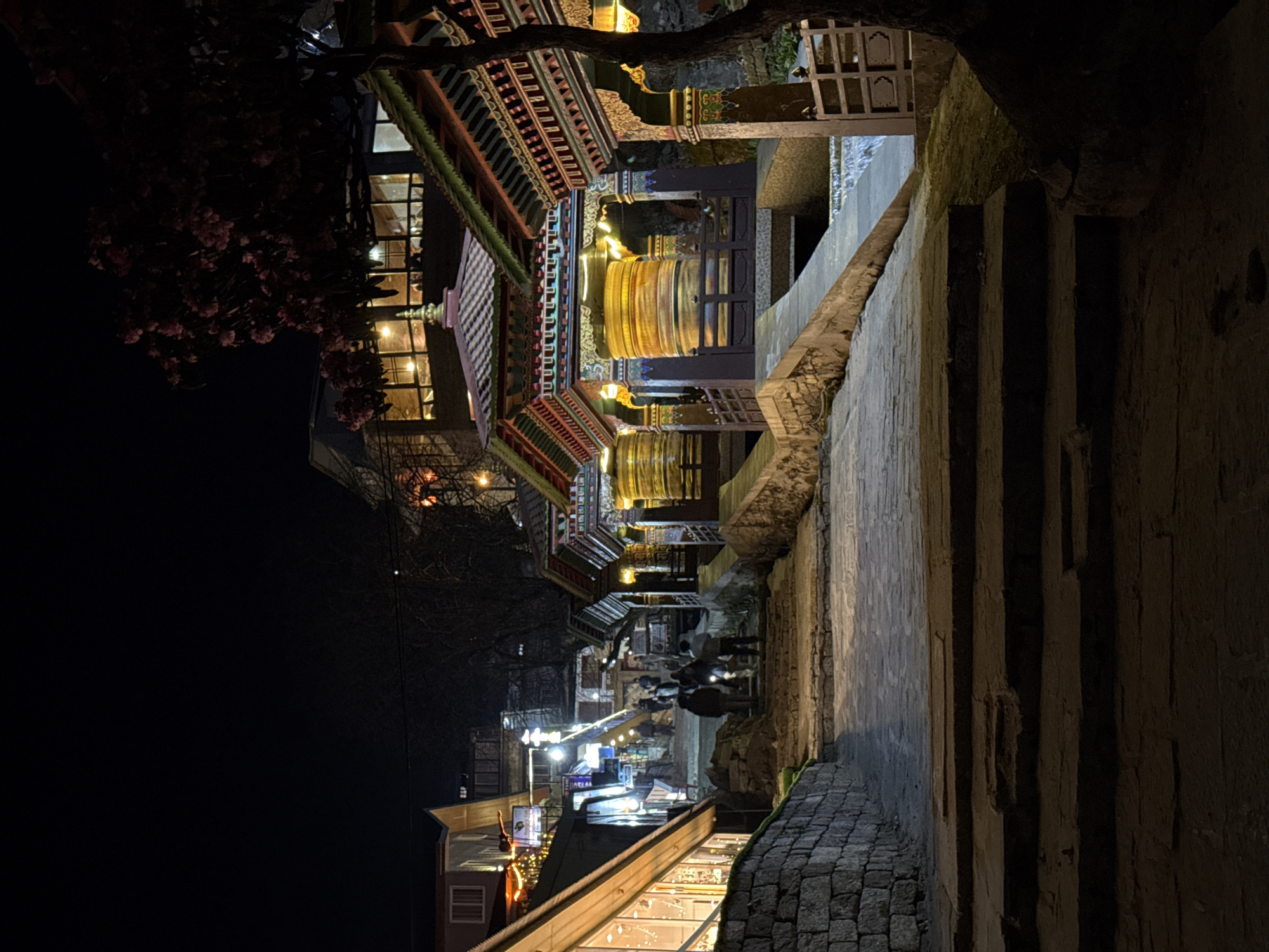 Nighttime street scene documented in Namche, Nepal village