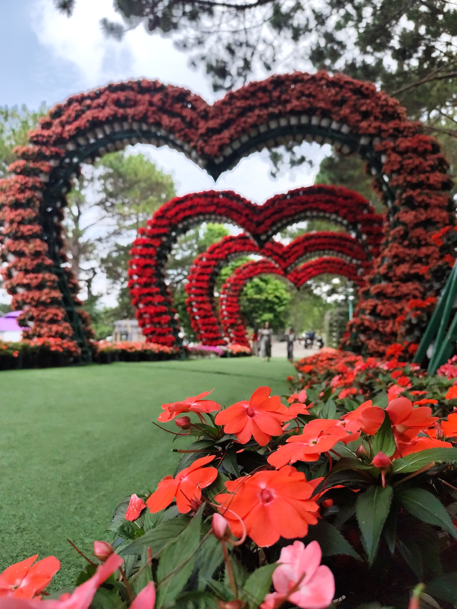 Heart-shaped floral arches create romantic garden tunnel in Da Lat