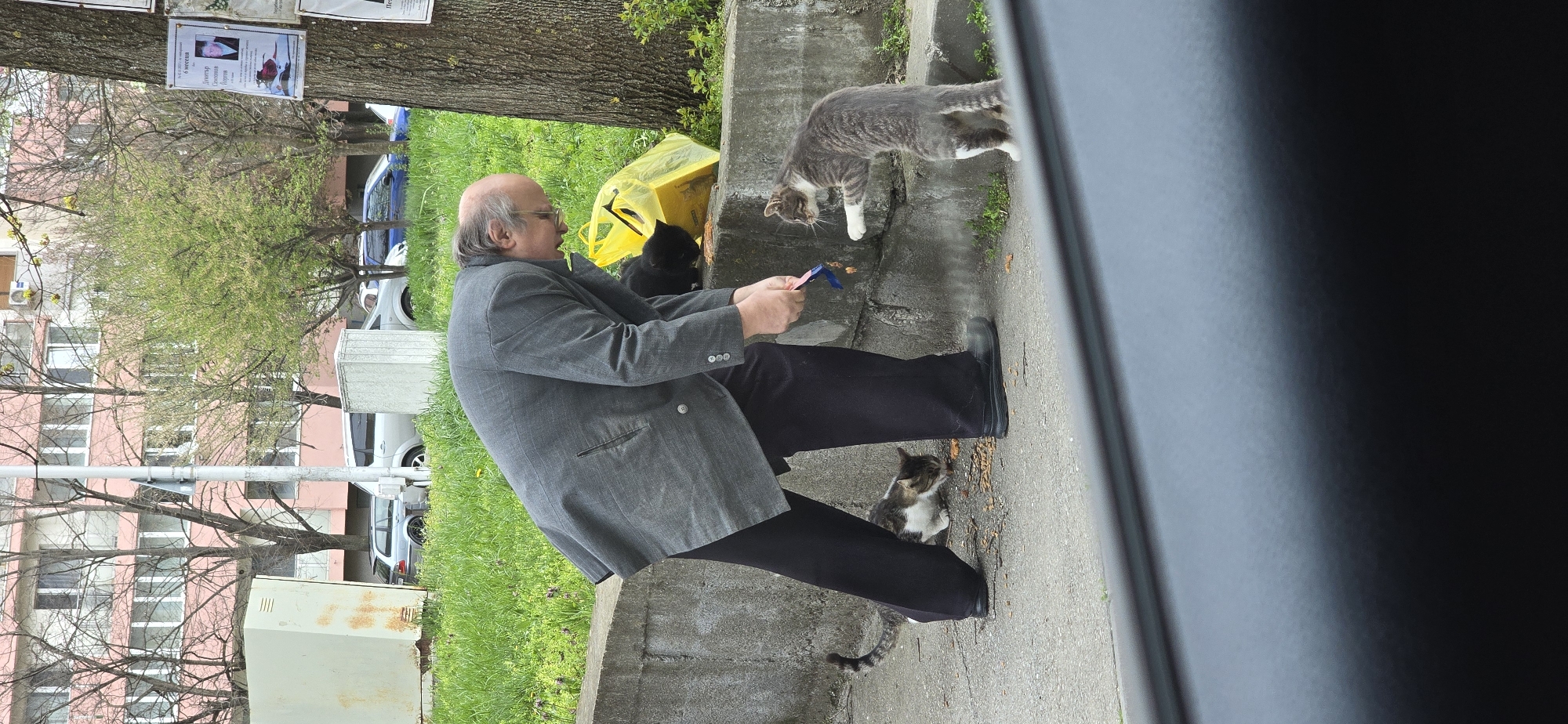 Man feeds stray cats in Veliko Tarnovo, Bulgaria