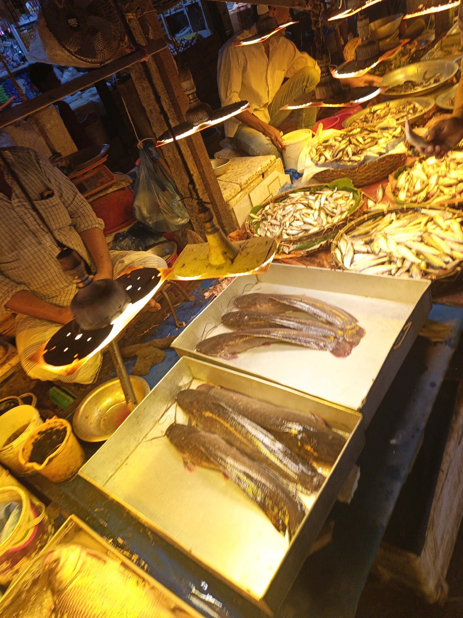 Morning fish and poultry market activity documented in Dhaka