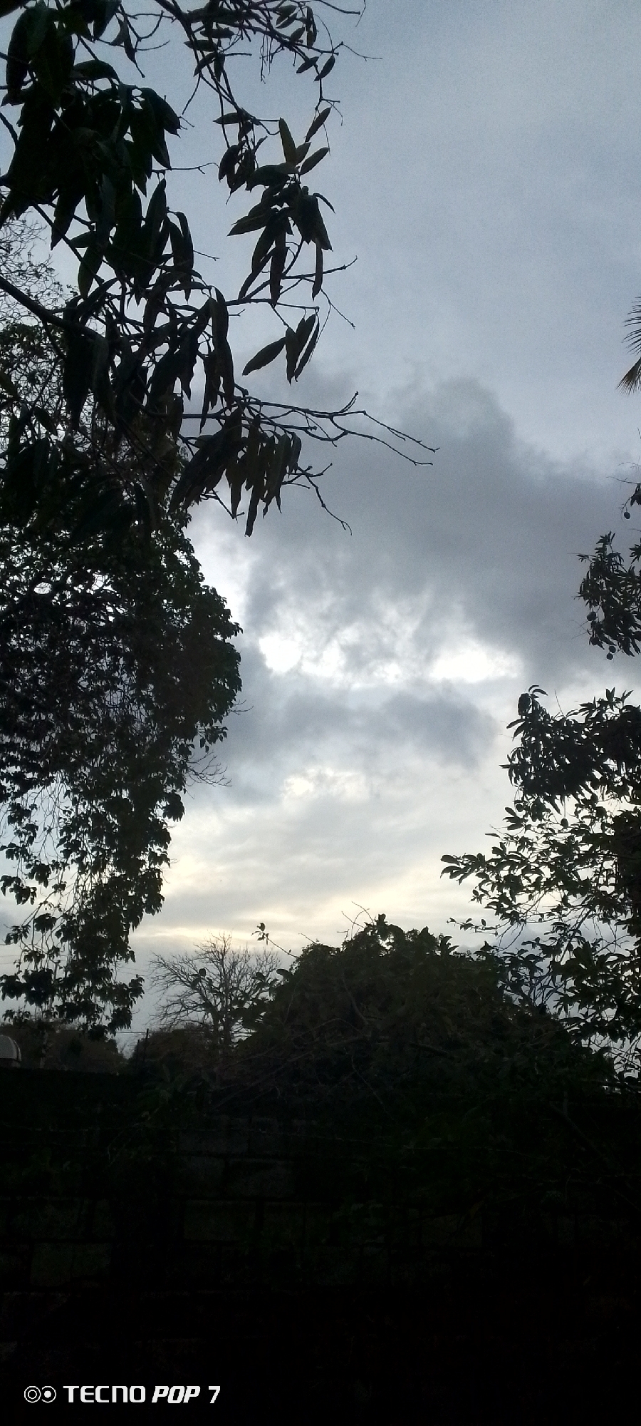 Dusk settles over Altagracia, Venezuela — skies, trees, and streetlights