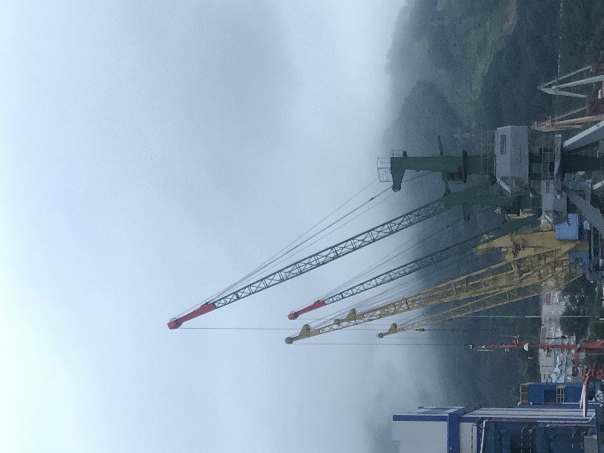 Foggy morning on Avacha Bay: port, boats, and roadside flora