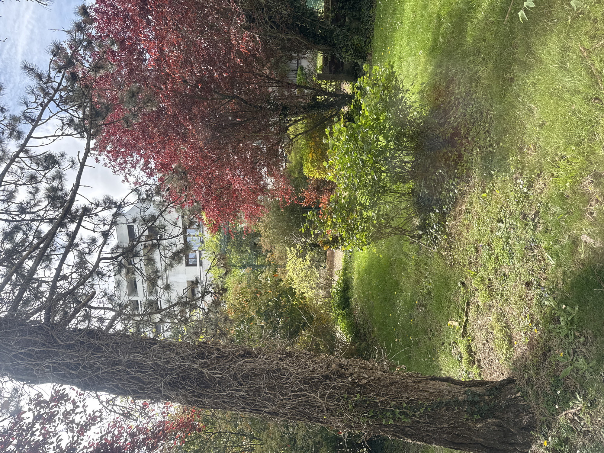 Everyday moments captured in Les Ulis gardens and surroundings