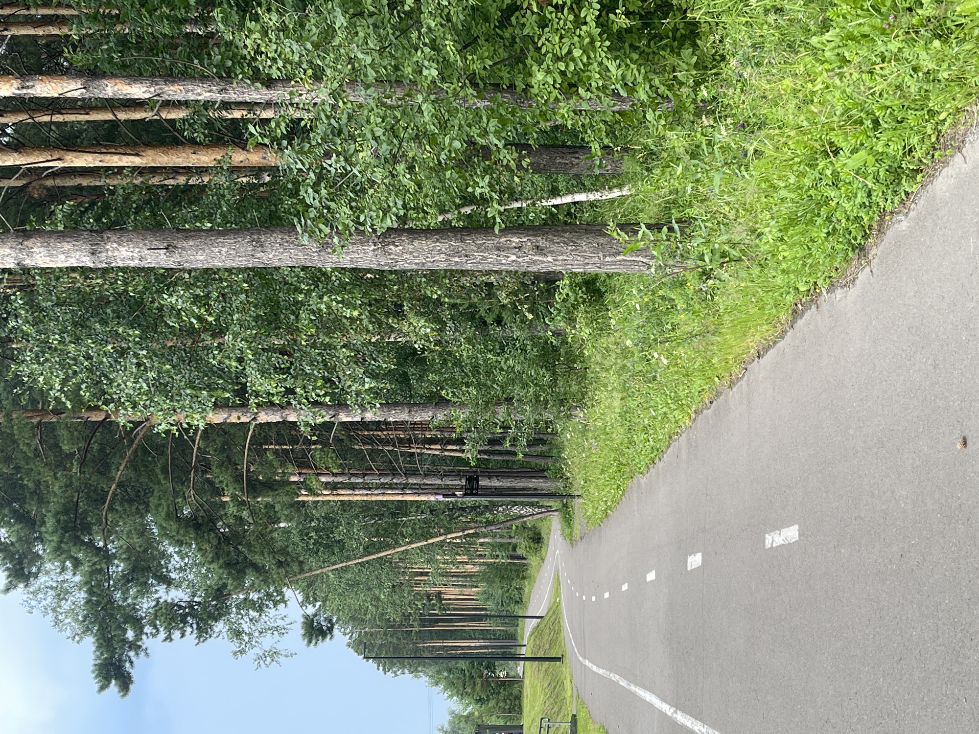Krasnoyarsk, Russia