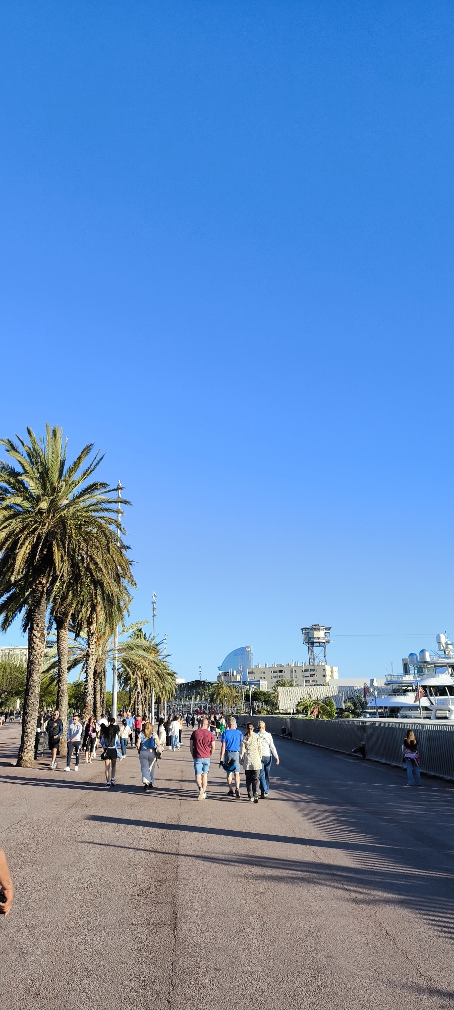 Evening life at Barcelona's Port Vell marina captured