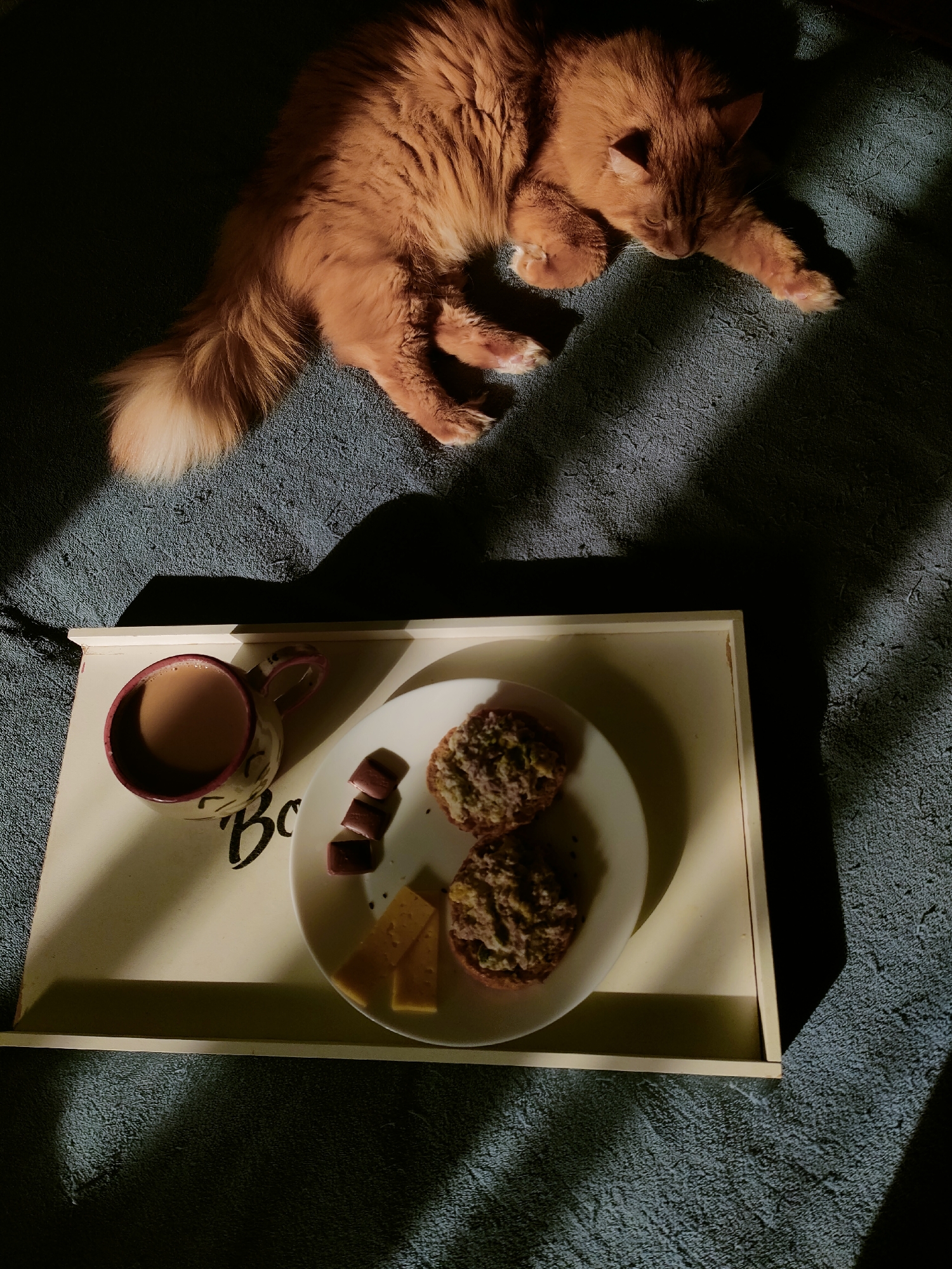Ginger cat shares breakfast moment in Ufa home
