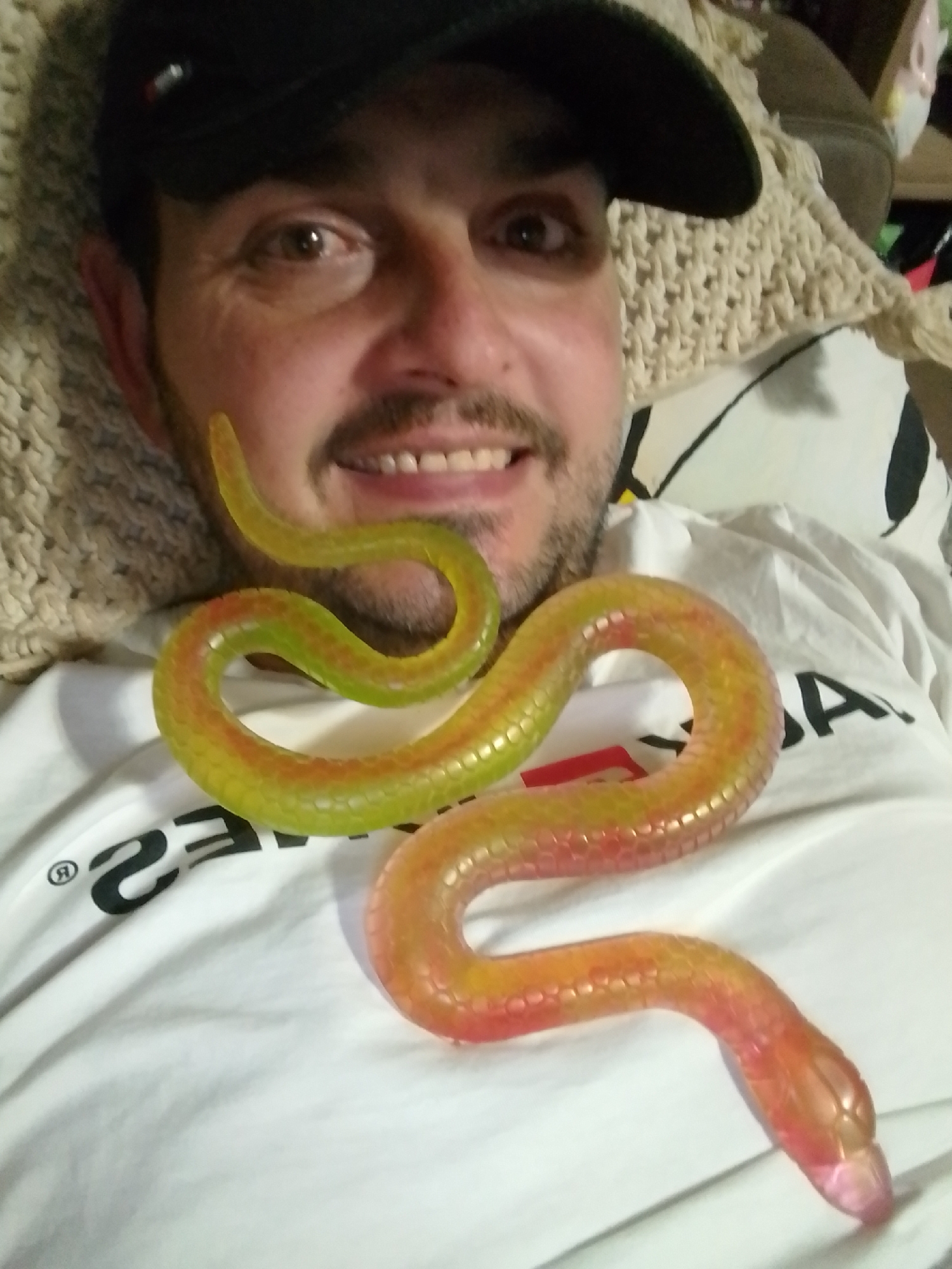 Toy snakes on a blanket, close-up and casual