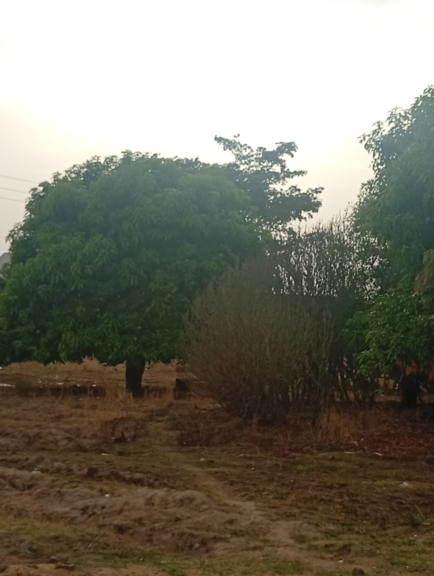Muddy landscape with trees captured under overcast April skies