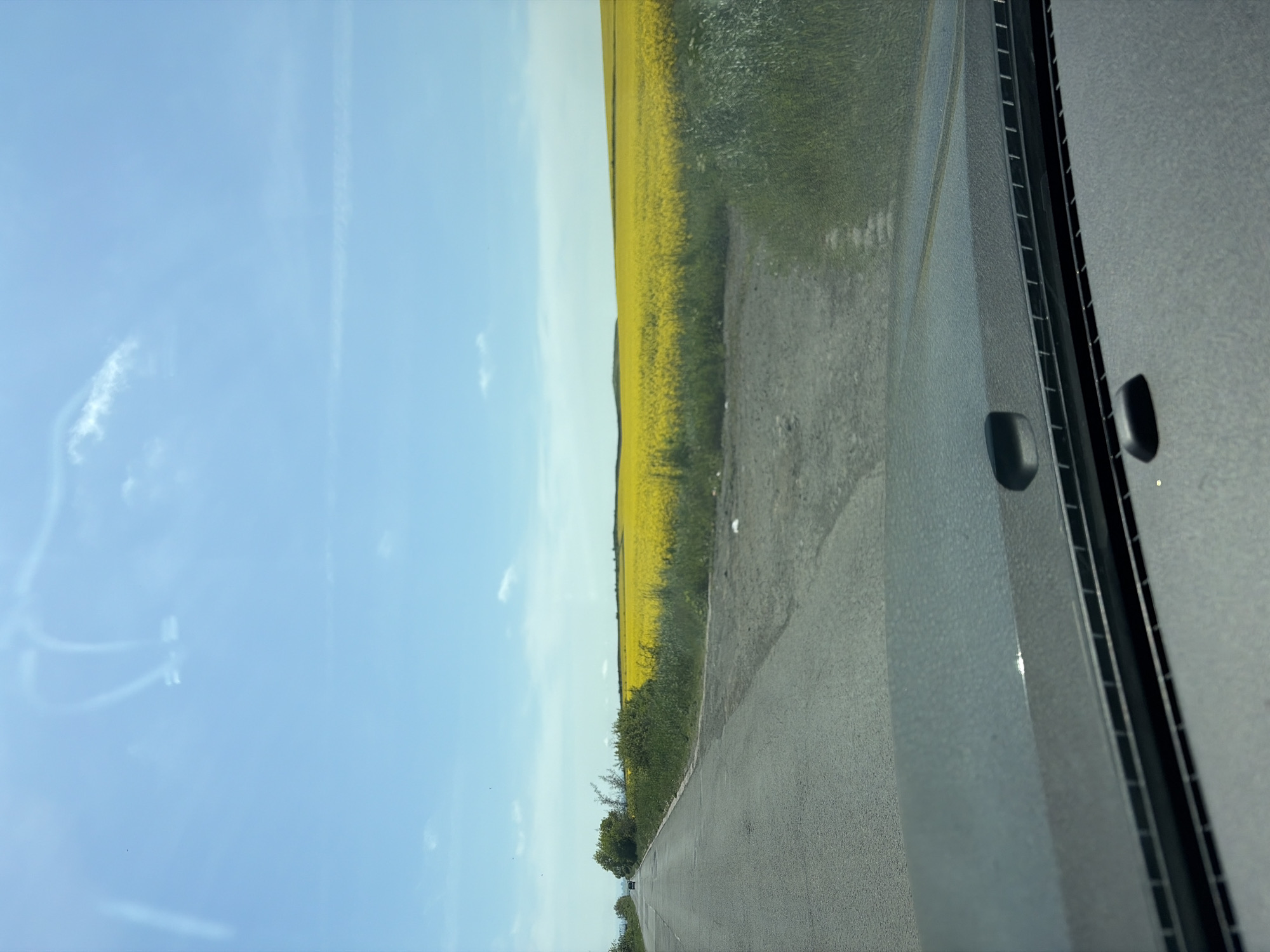 Vehicle passes yellow rapeseed field in Bulgarian countryside