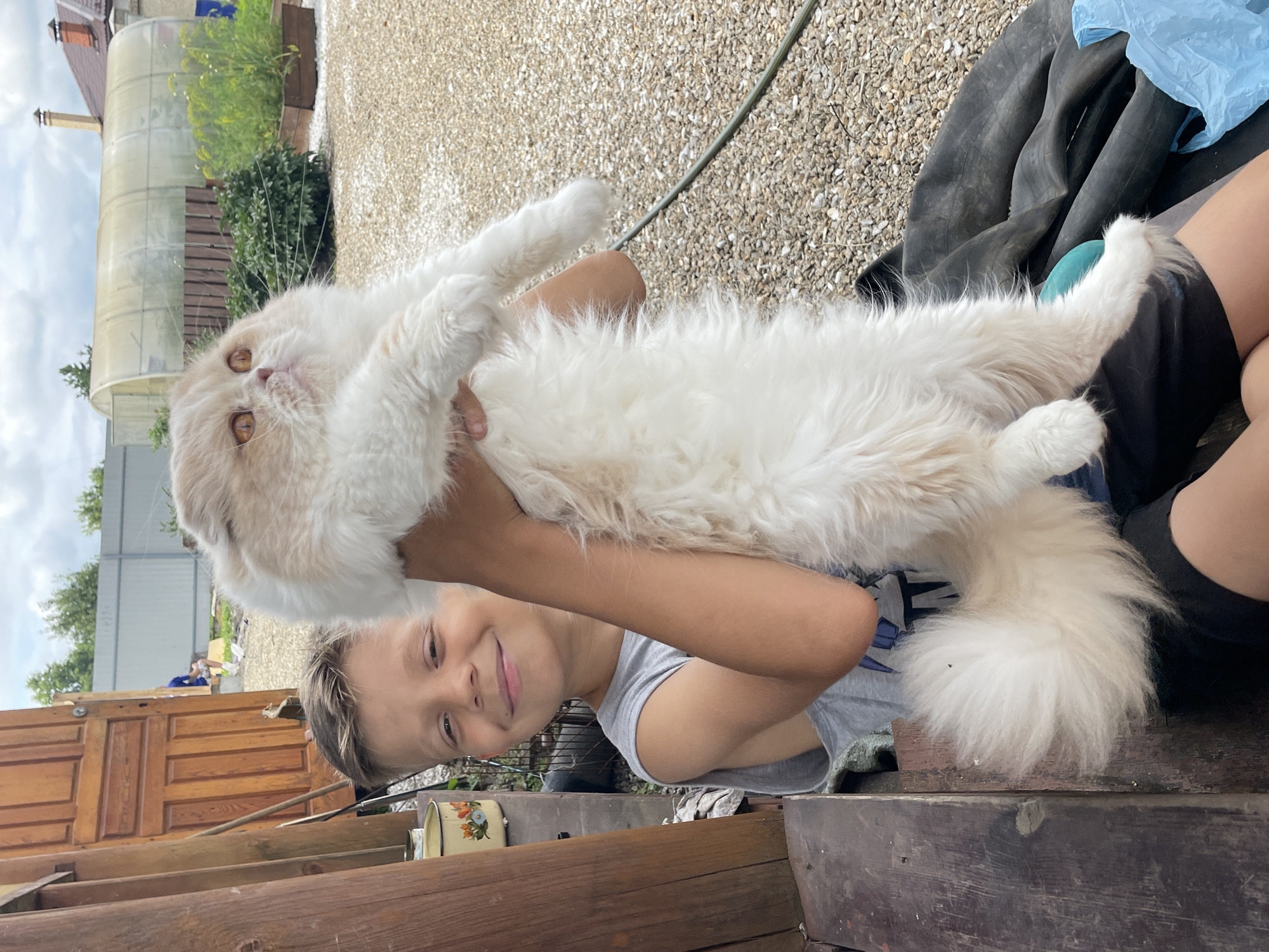 Porch hangout with pets in a Russian village