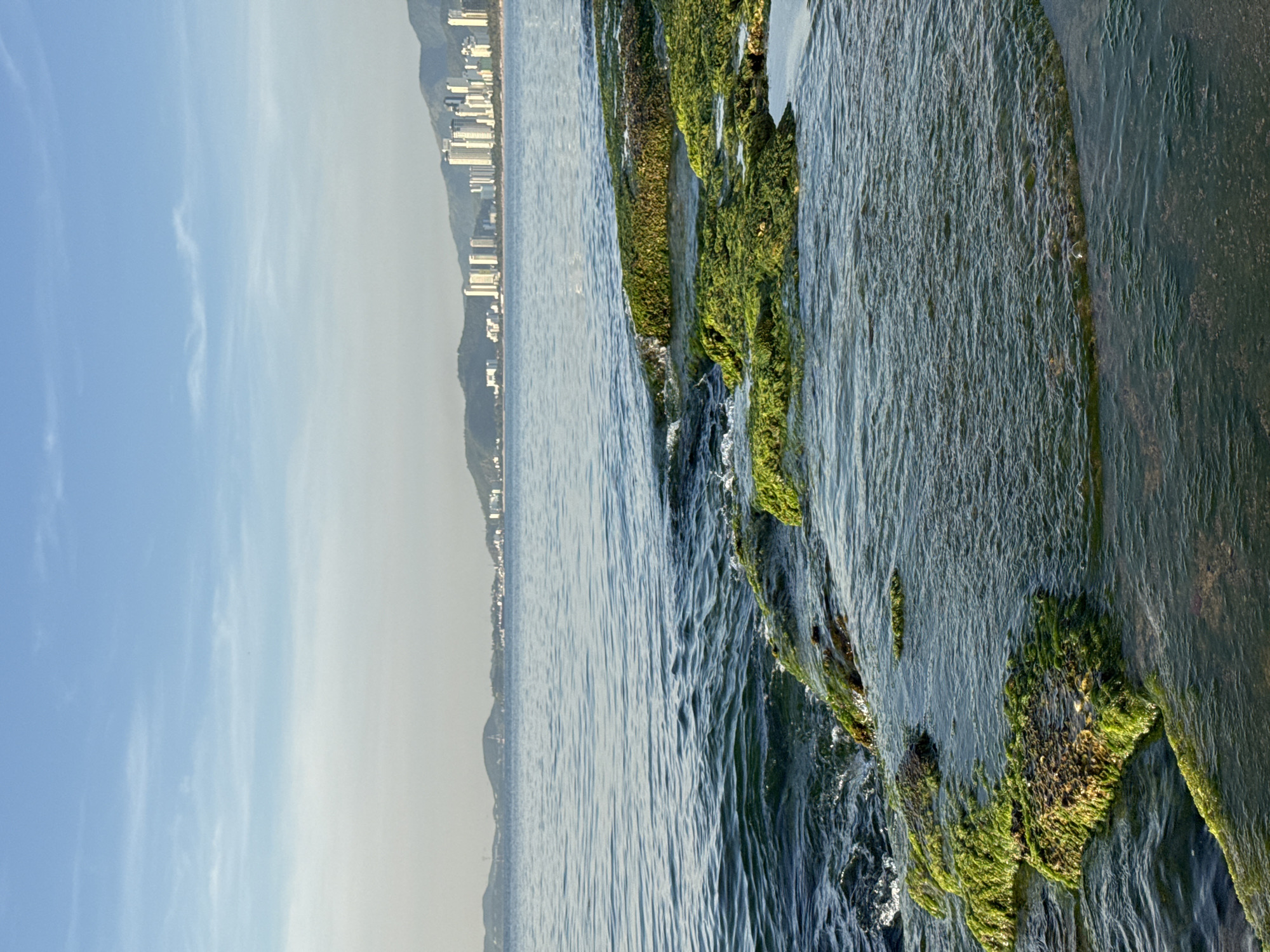 Evening at Nha Trang beach — dog, rocks, seaweed, and low sun