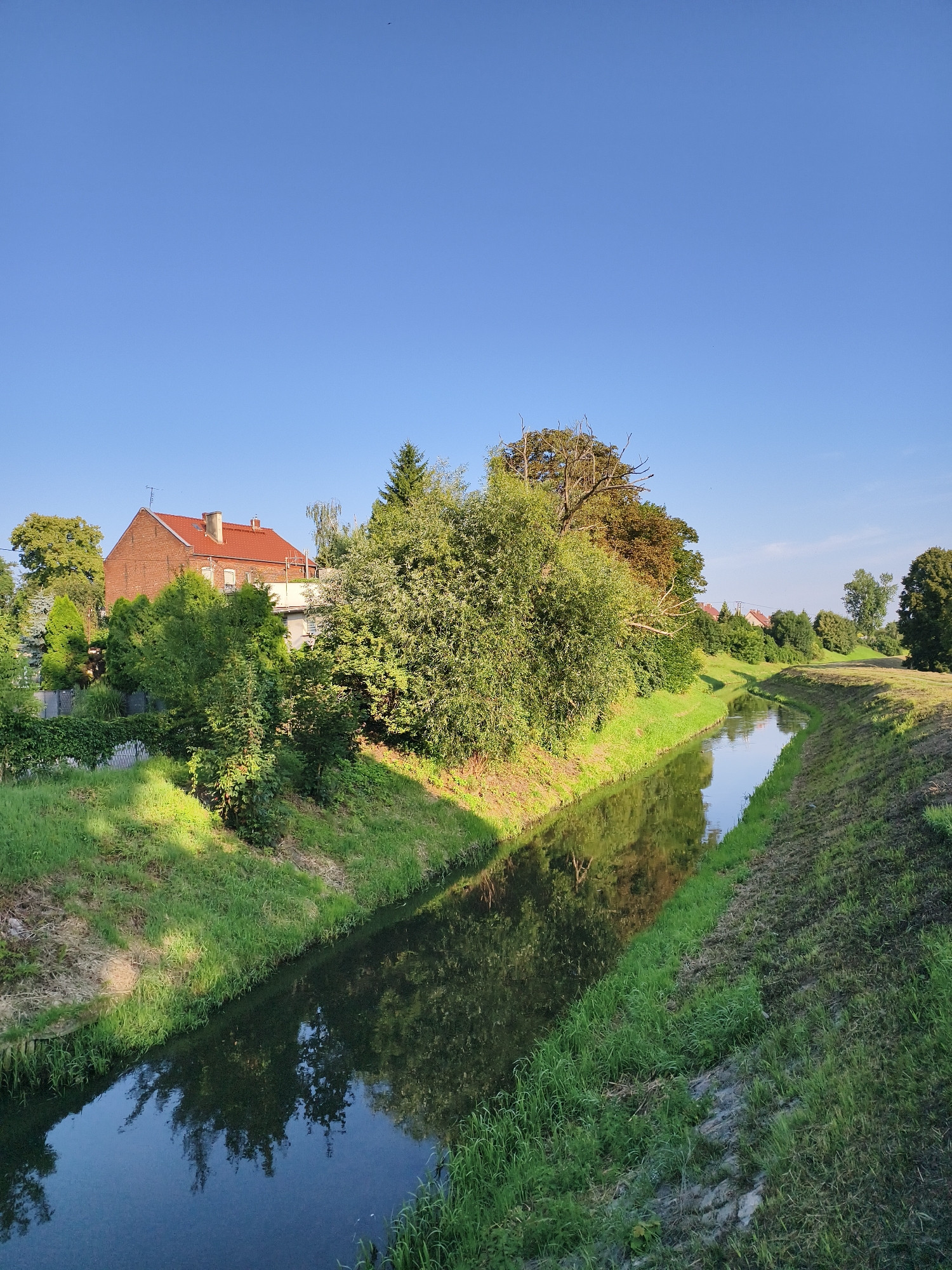 Canal, creek, and graffiti along Tczew's waterways