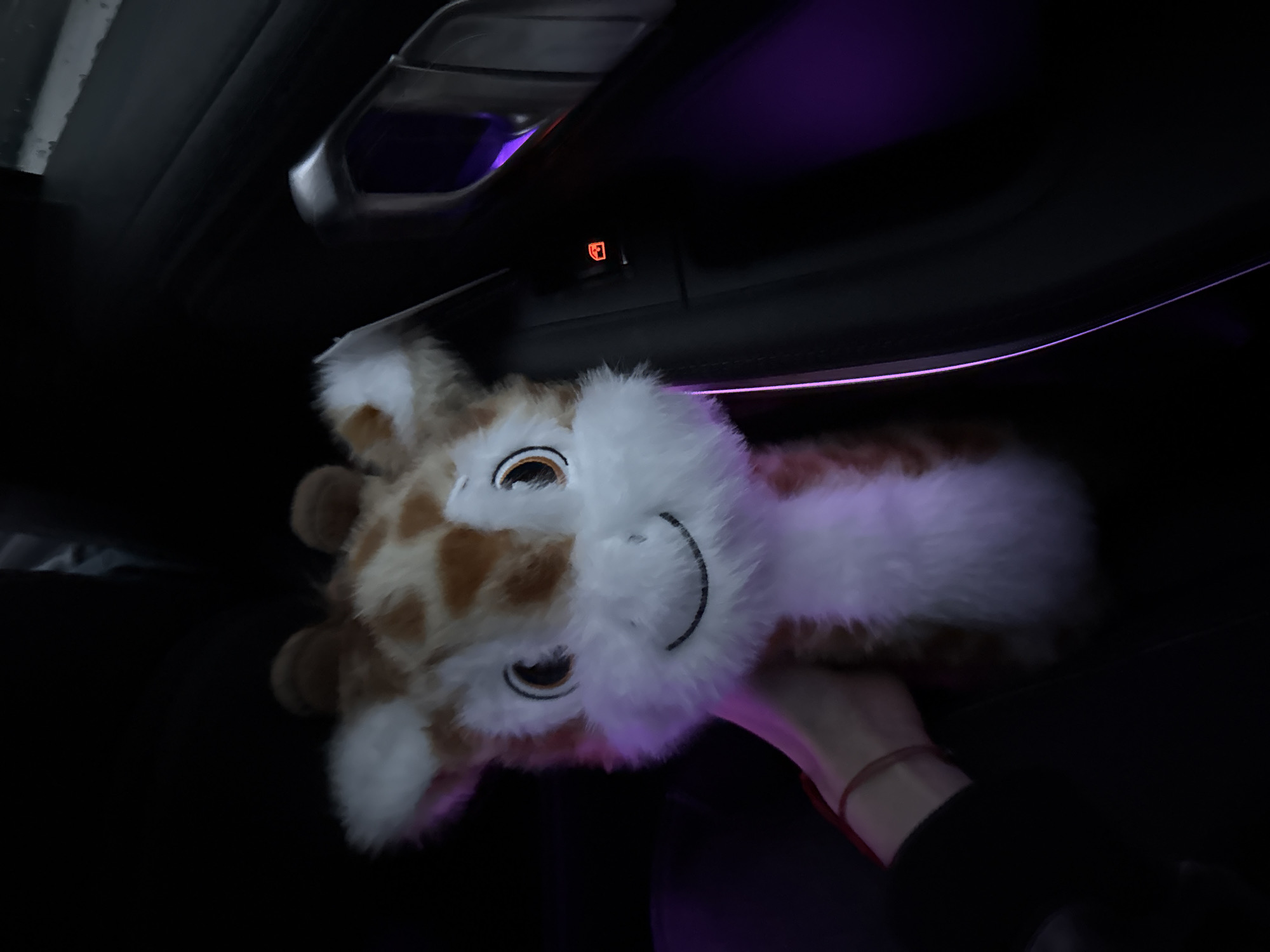 Driver navigates BMW through Plovdiv with stuffed giraffe companion