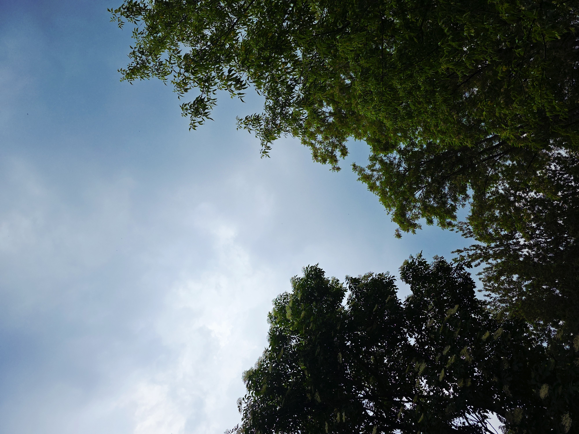 Afternoon stroll through urban park captured in 84-minute documentation