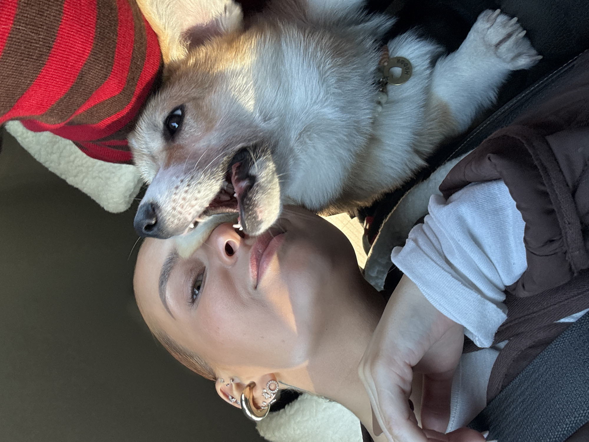 Person plays with white and tan dog in Russia