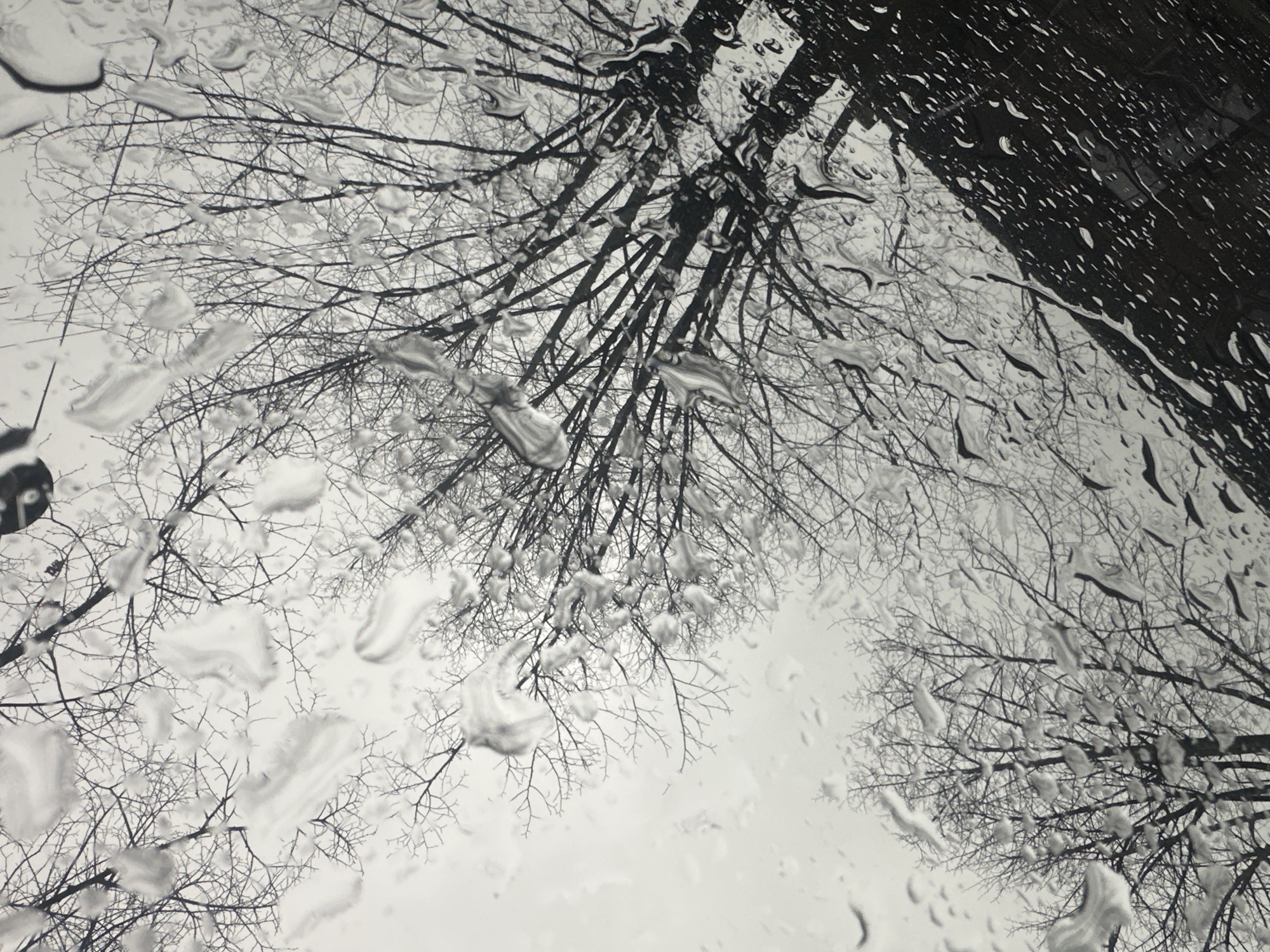 Rainy morning documented through windows in Riga, Latvia