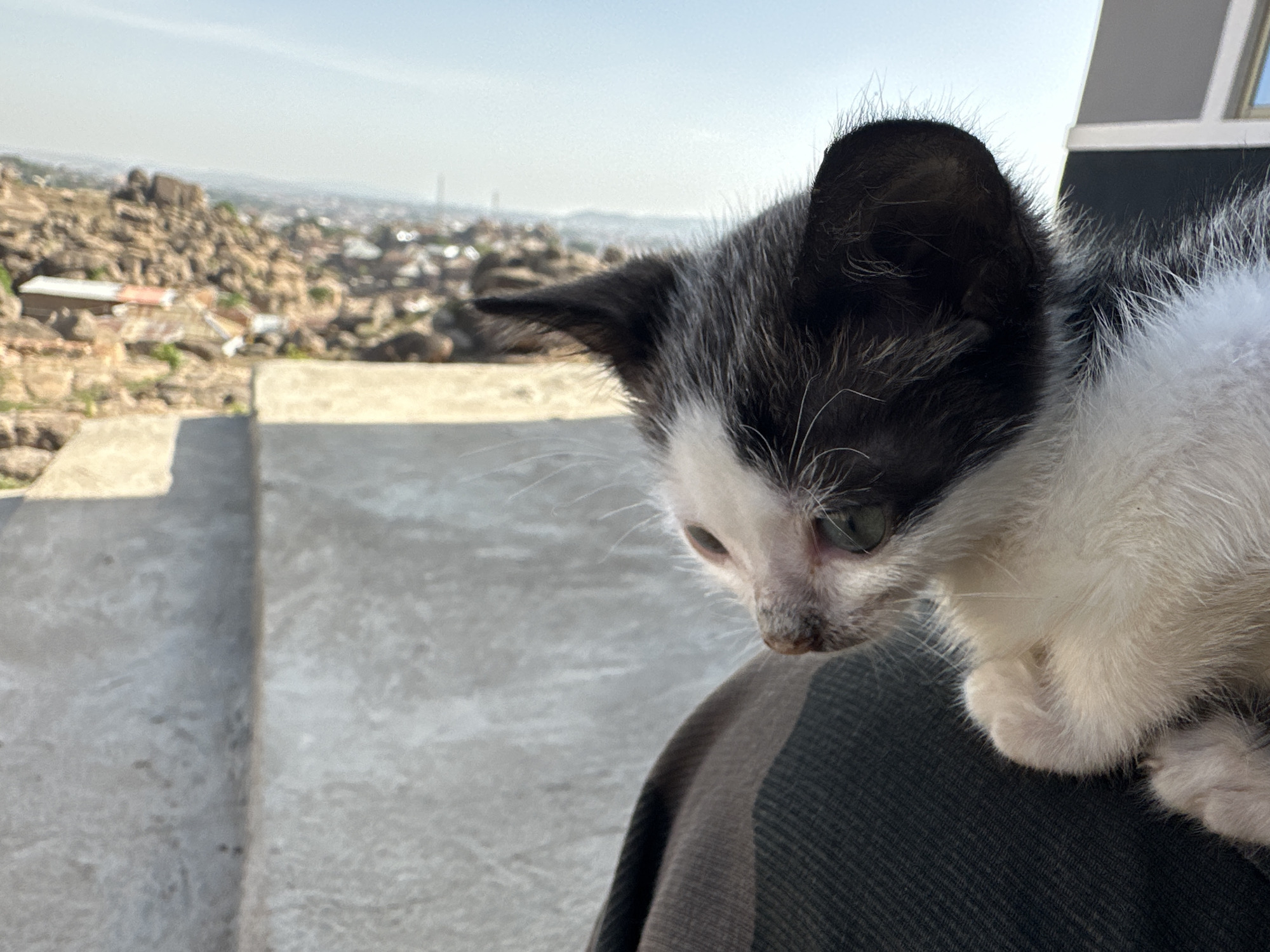Morning life documented across Jos Nigeria's rocky urban landscape