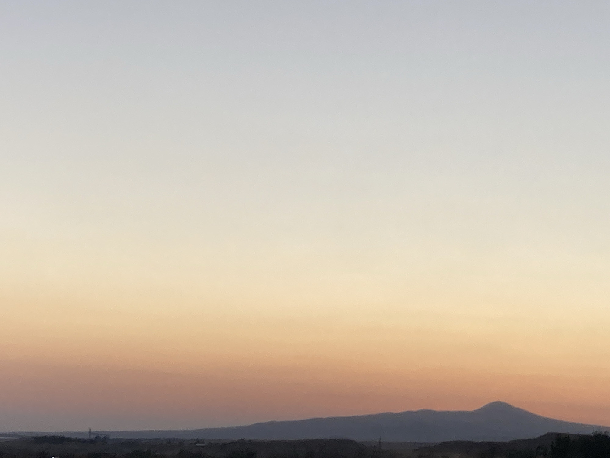 Dogs roam dusty paths at twilight near Avanos