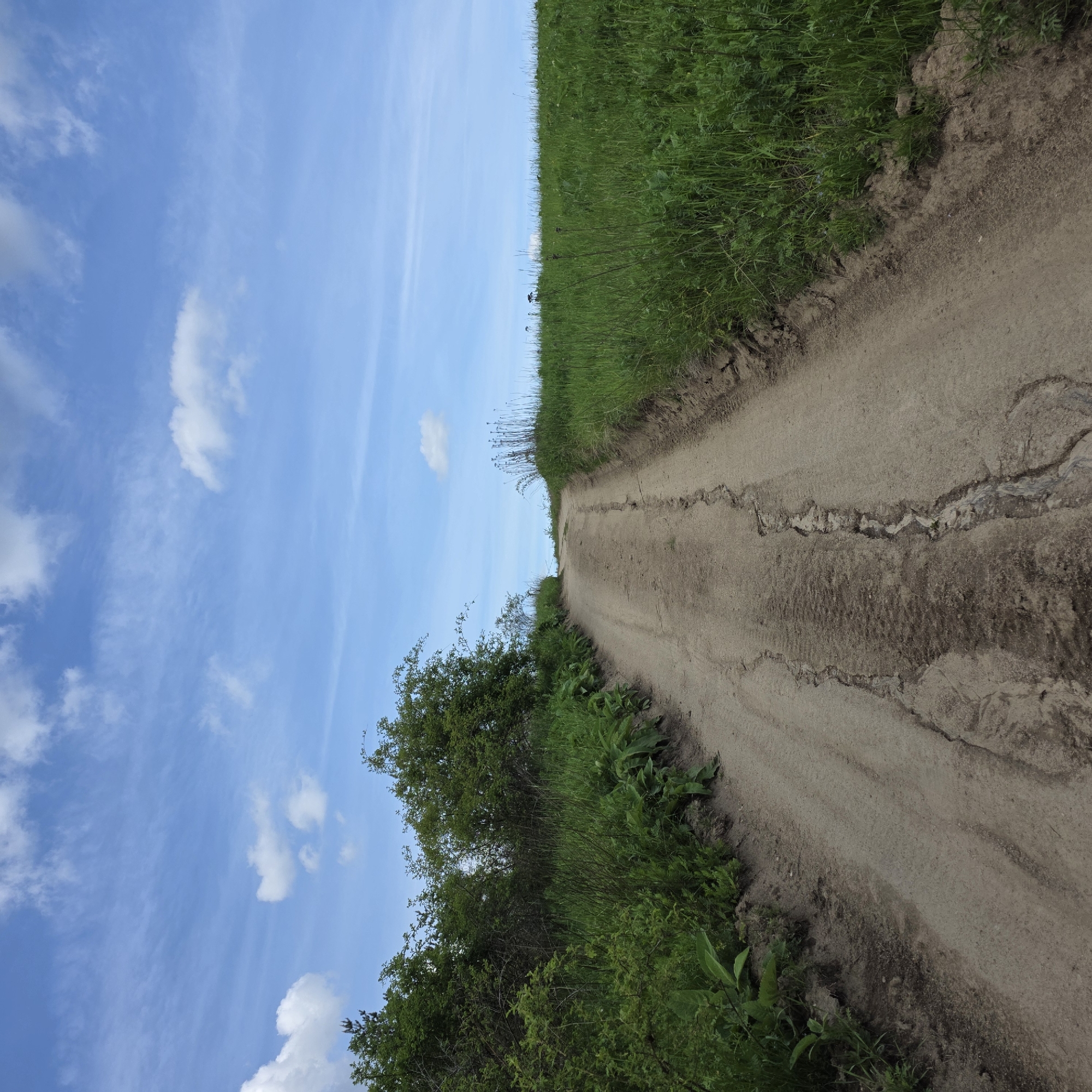 Rural landscapes documented in Zheleznitsa, Bulgaria countryside
