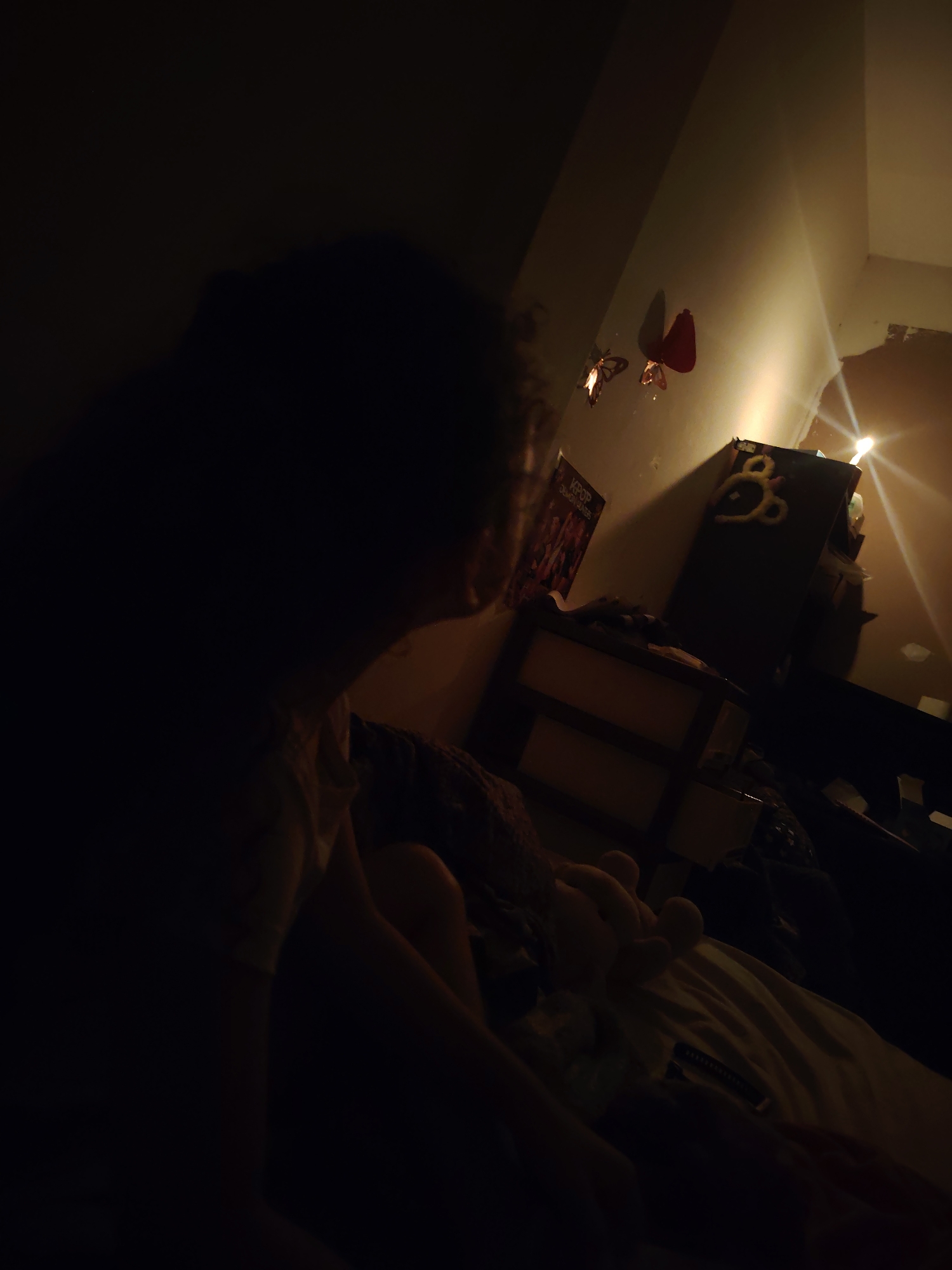 Person observed in dimly lit room with butterfly decorations