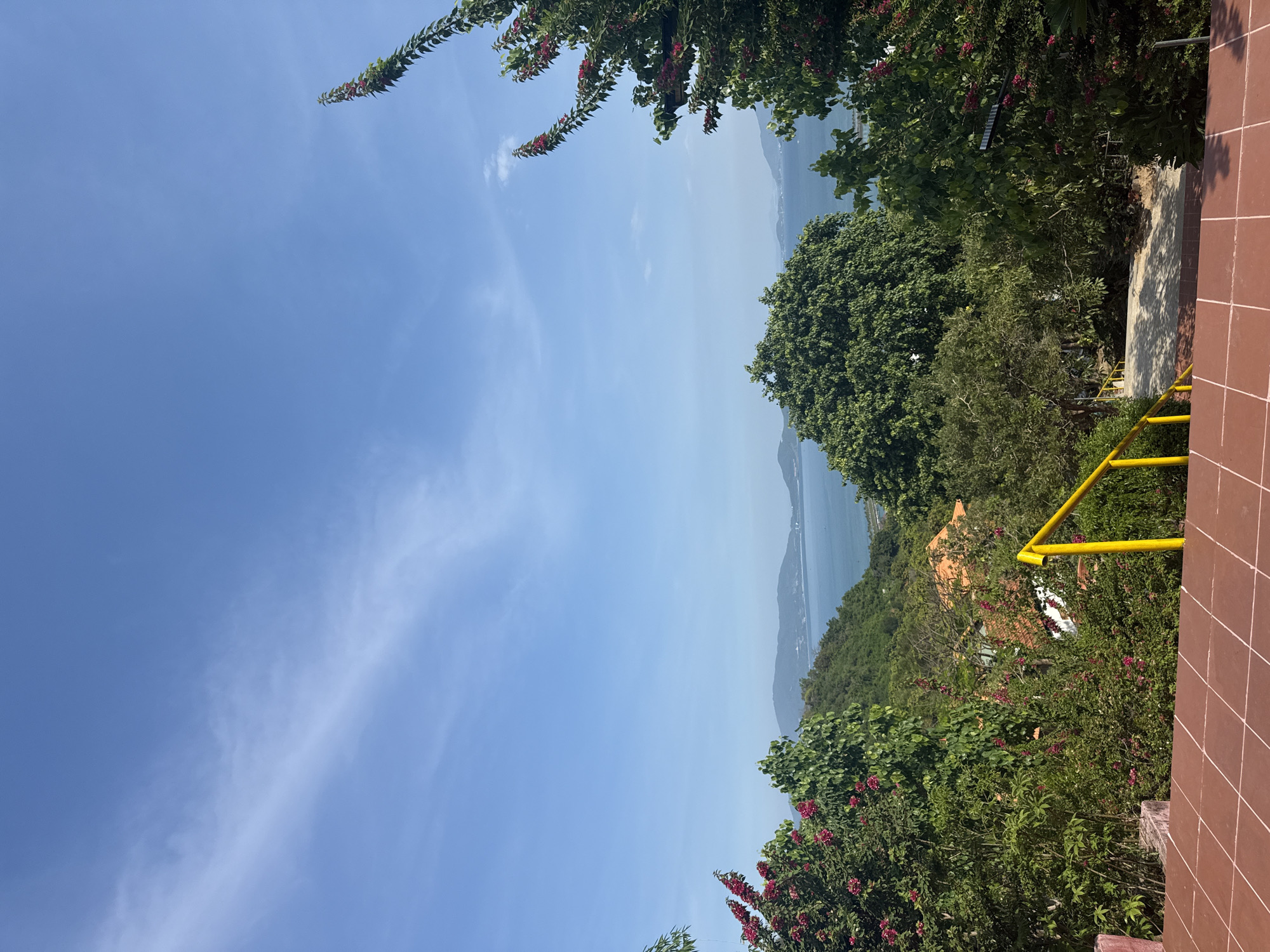 Blooming frangipani and coastal views from a Nha Trang terrace