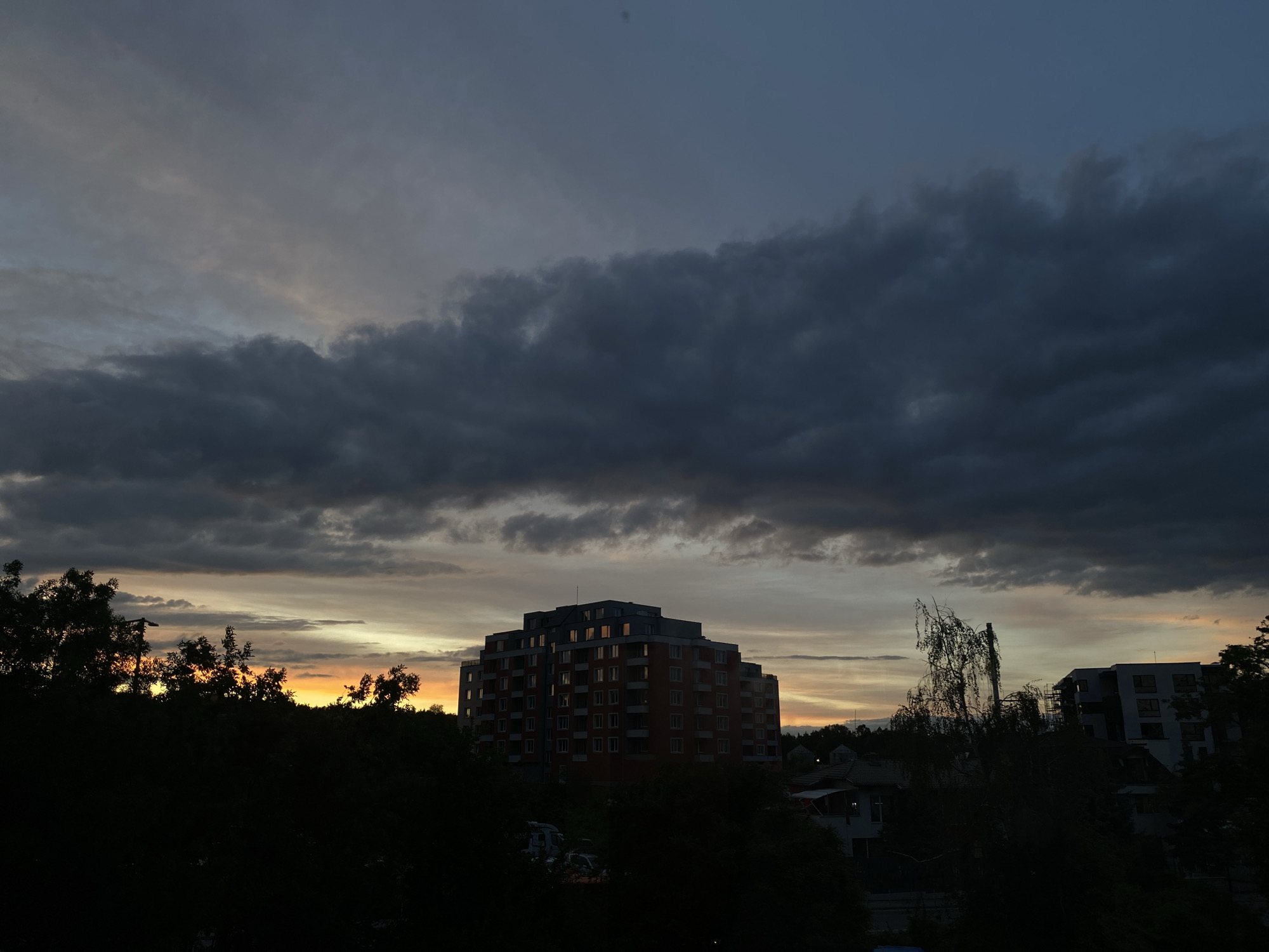 Evening cityscape and sleeping French bulldog documented by witness