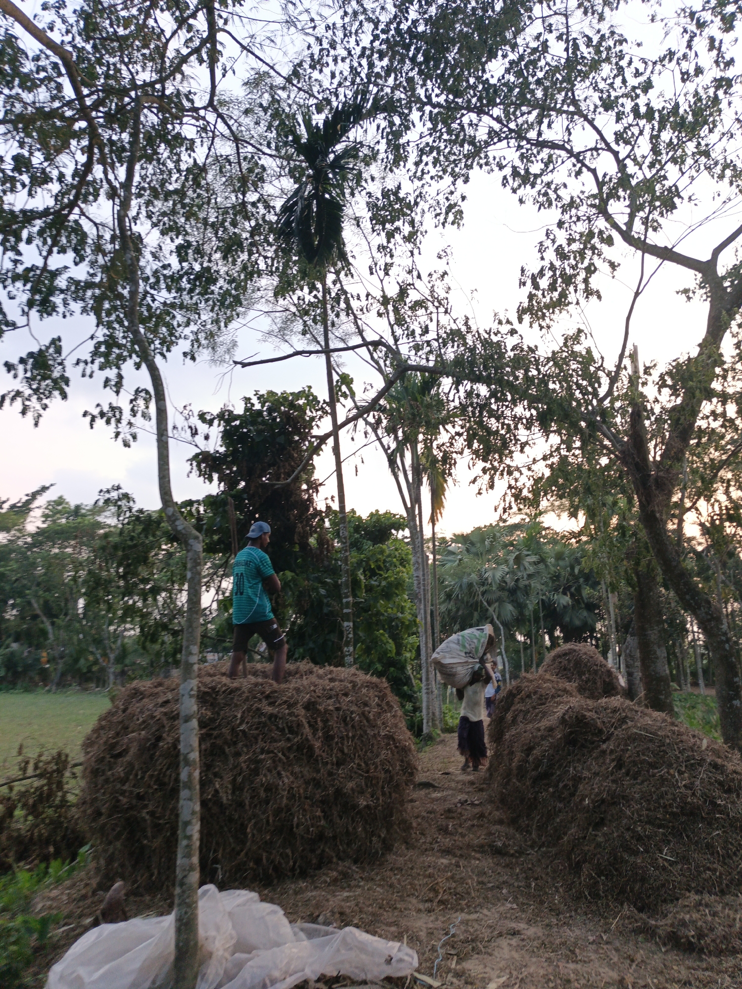 Rural agricultural activities and countryside scenes documented across multiple locations