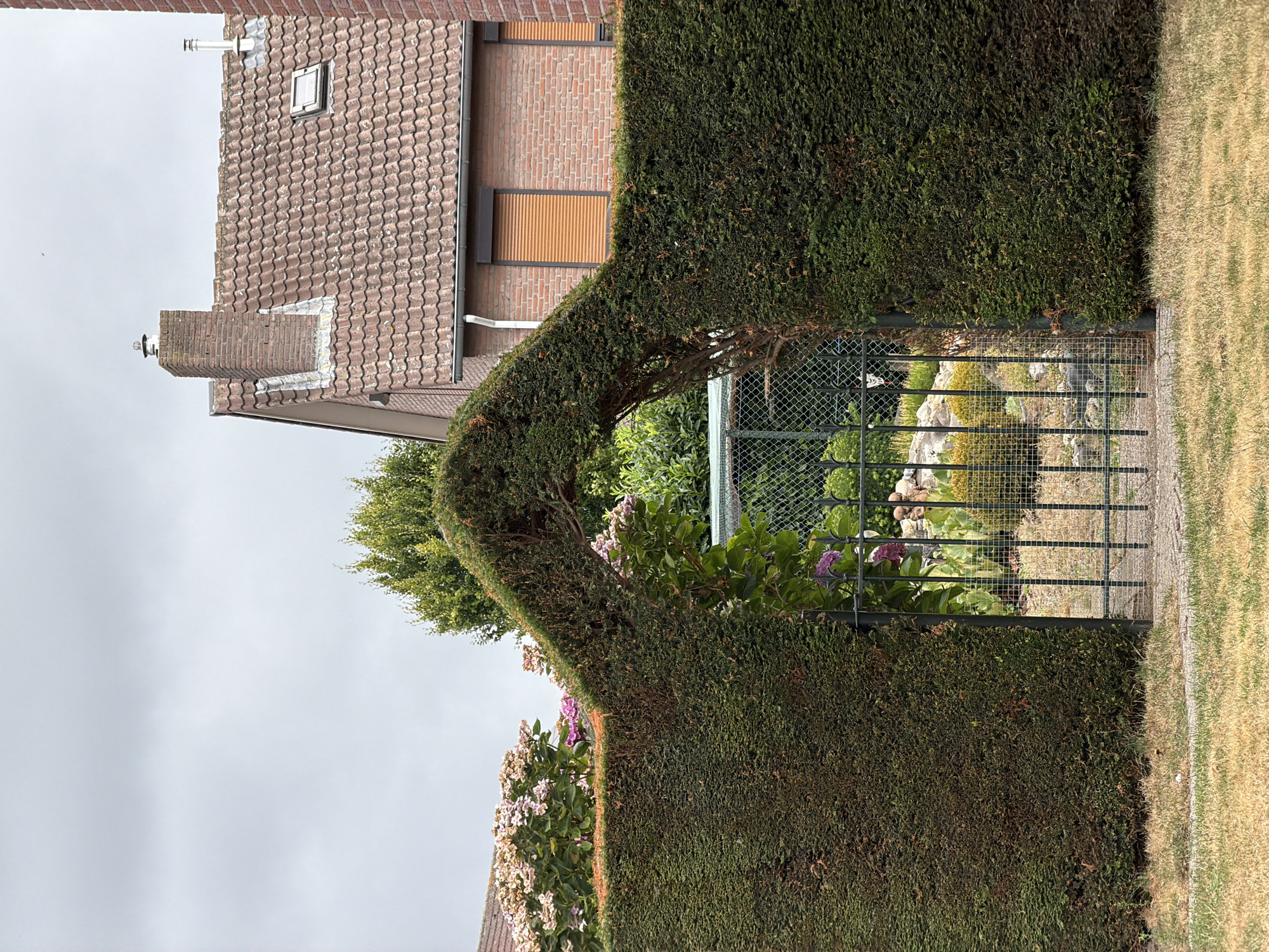 Tidy gardens and quiet streets in Melick on a grey morning