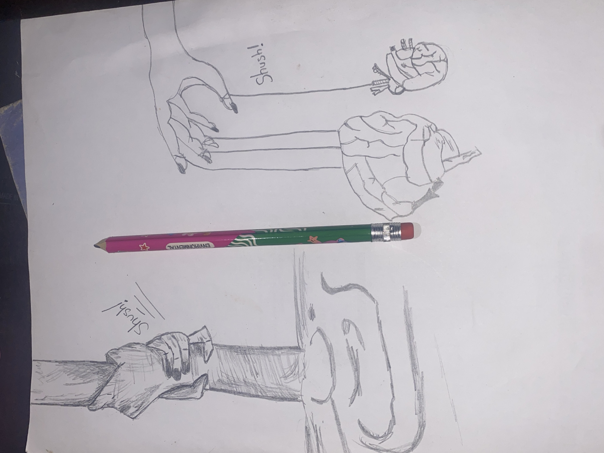 Artist creates multiple pencil sketches across Nigerian locations