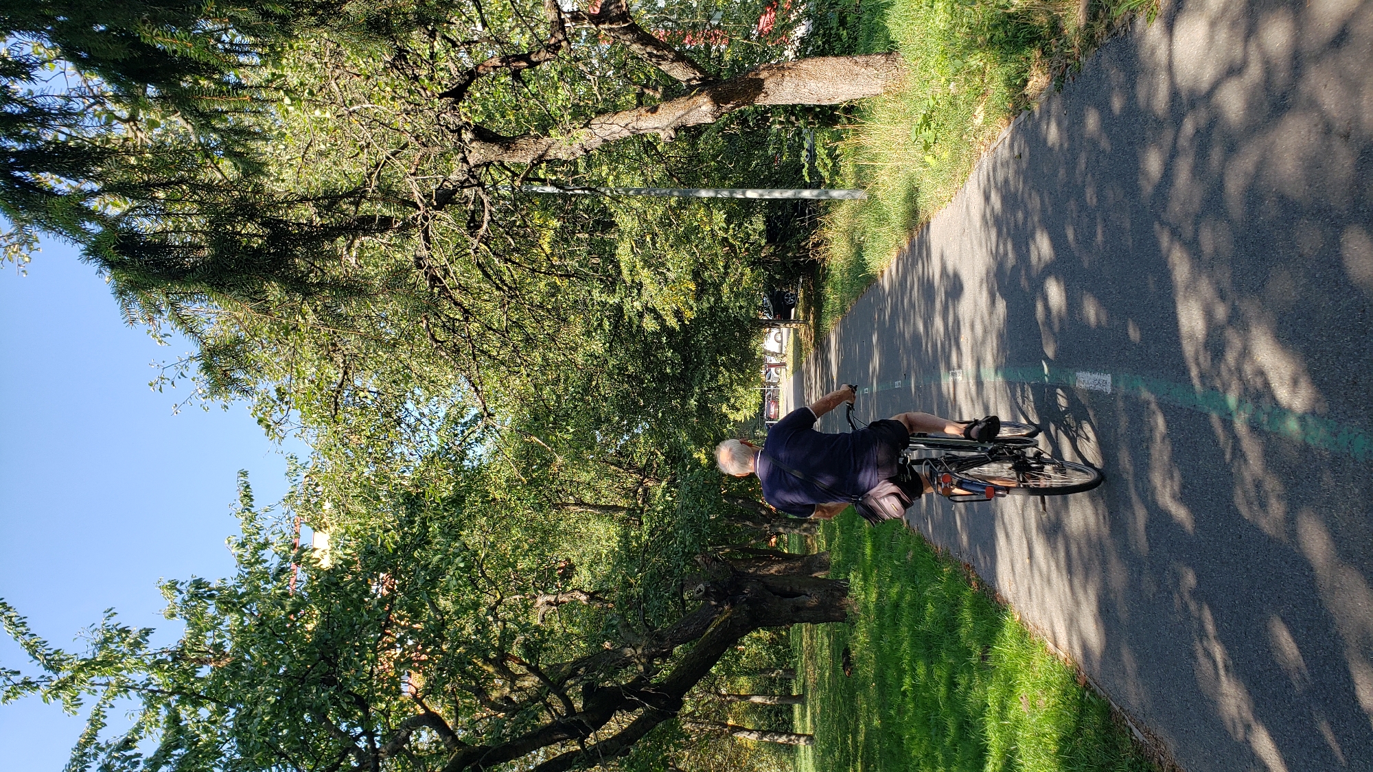 Summer morning activity in a Prešov park — cycling, volleyball, street scenes