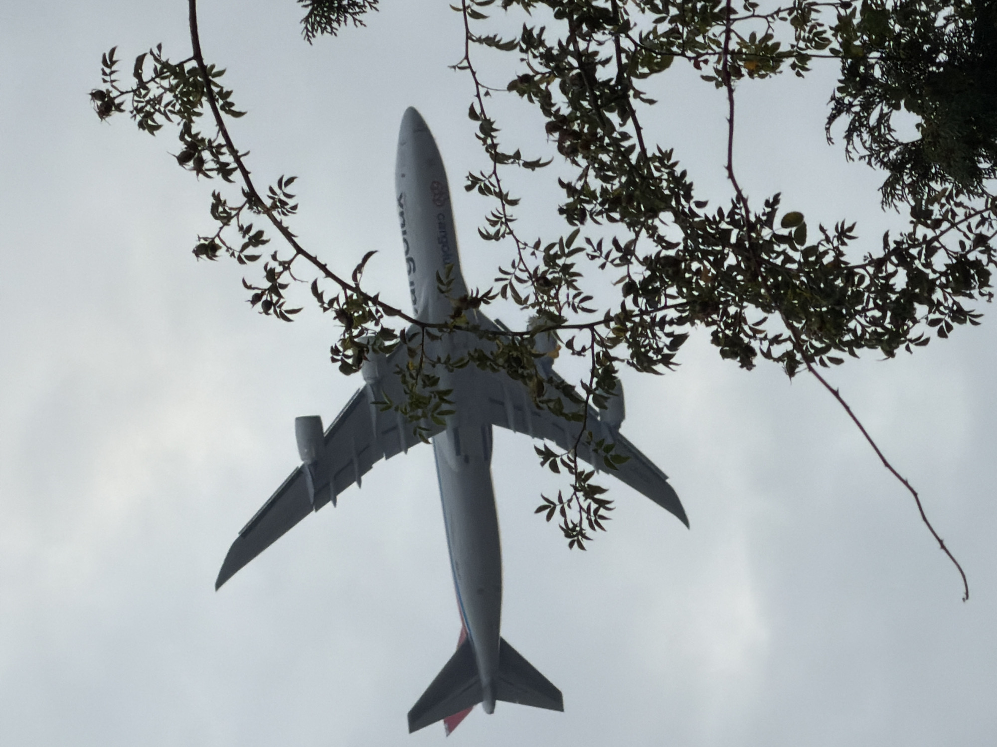 Cargolux 747 flies over Leudelange during a hazy sunset