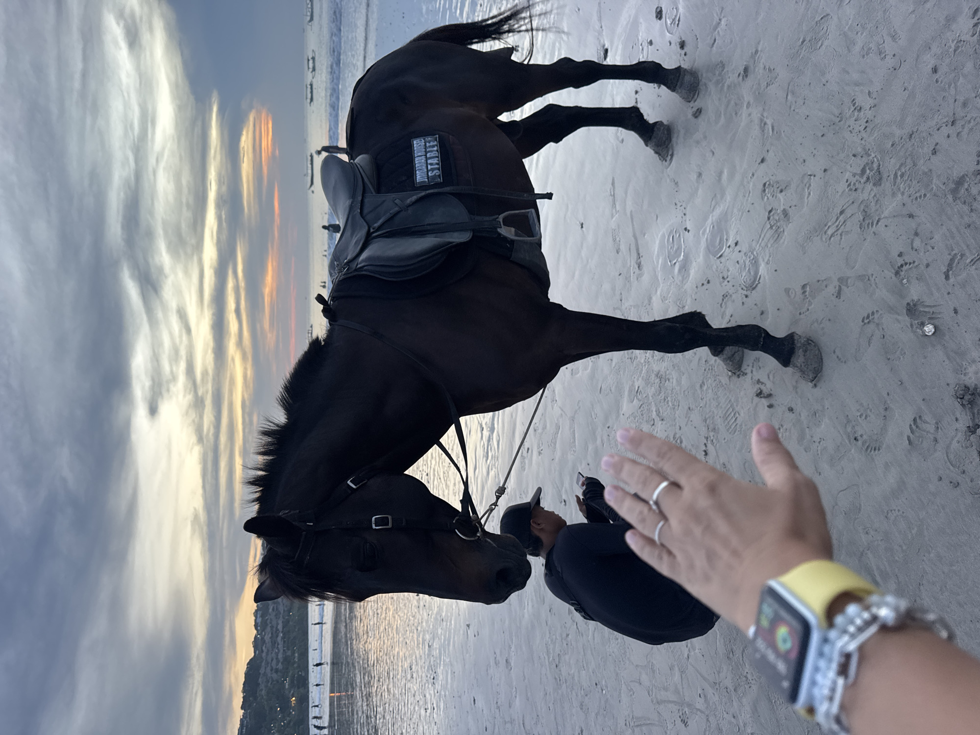 Saddled horse, beachgoers gather at sunset shoreline