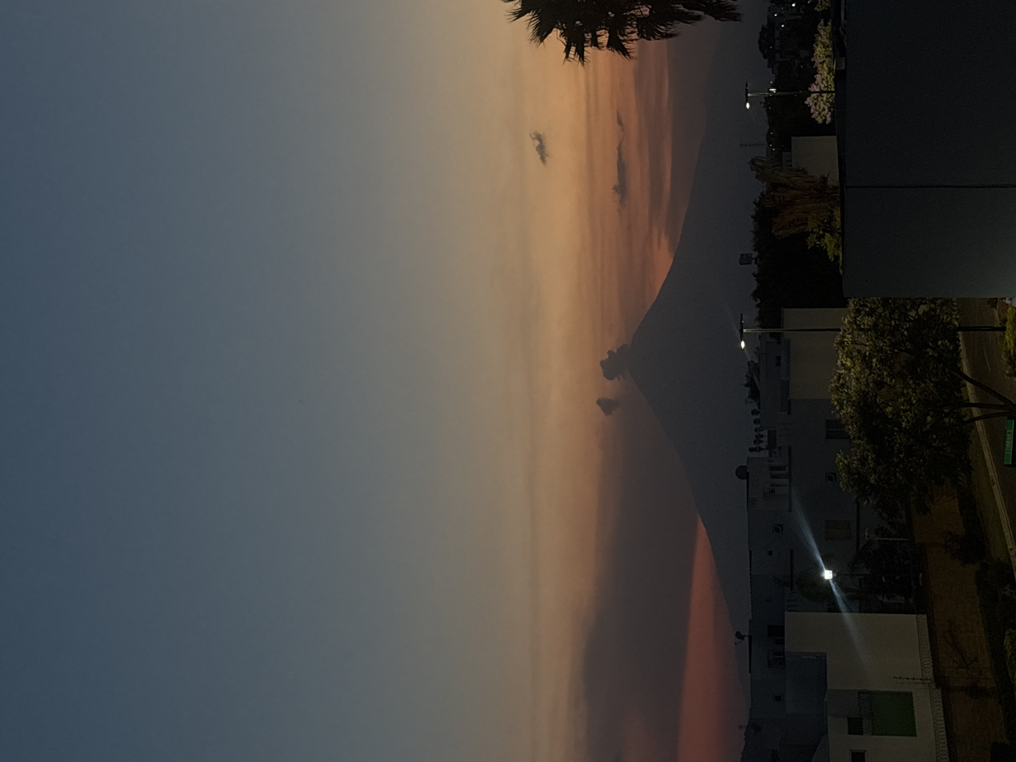 Evening Documentation: Twilight Skies and Resting Dog in Mexico