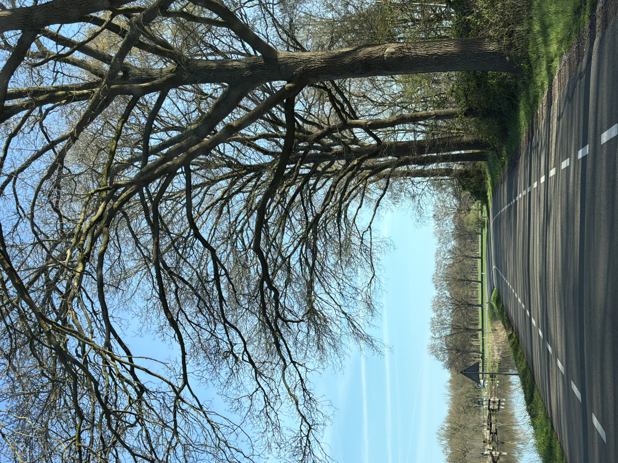 Morning road scene documented in Vaassen, Netherlands