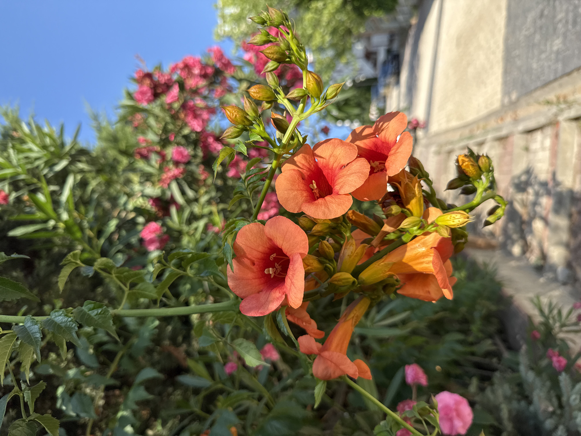 Street-level details from a sunny afternoon in Sancaktepe