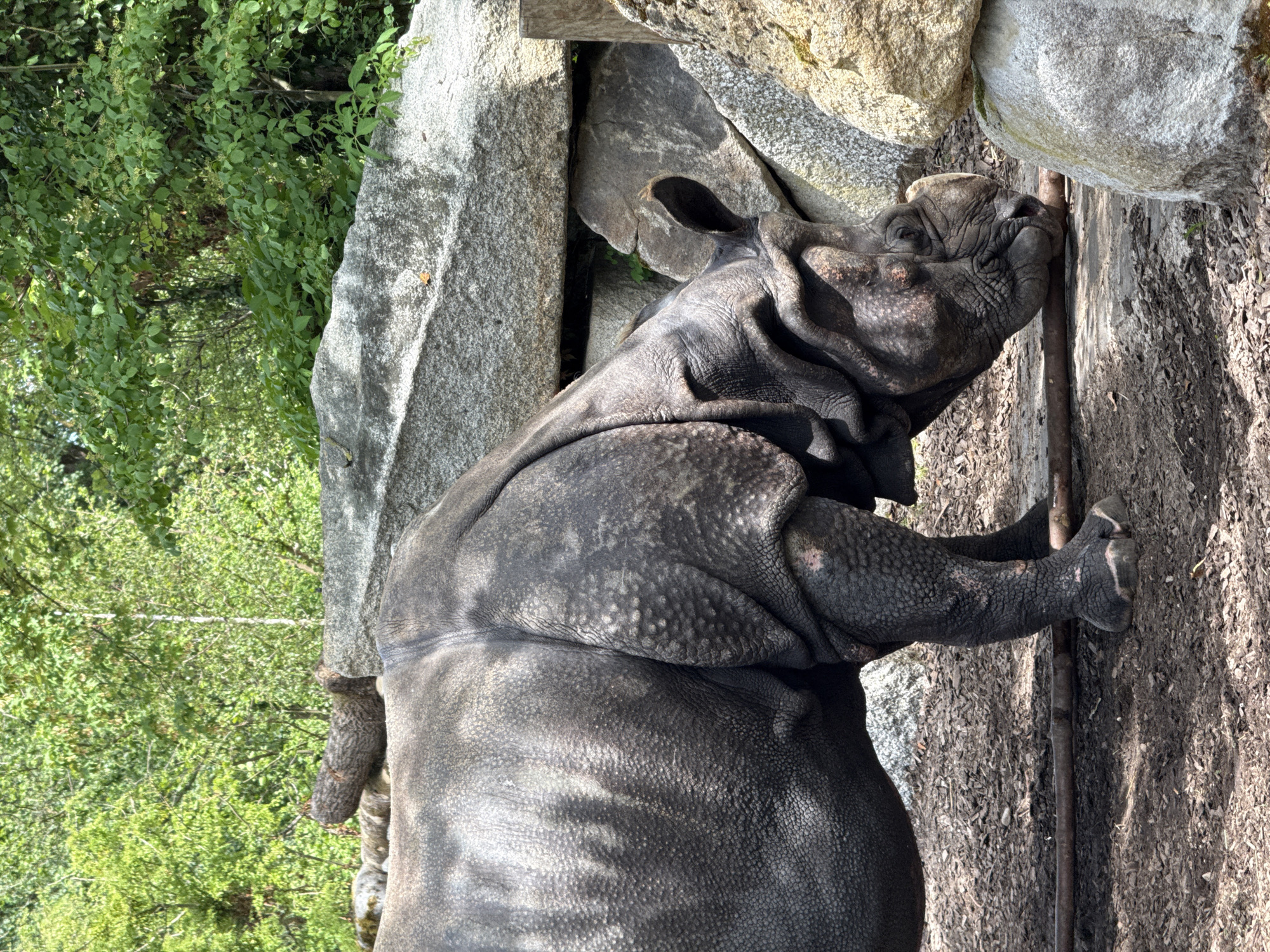 Zoo animals documented during midday visit in Munich