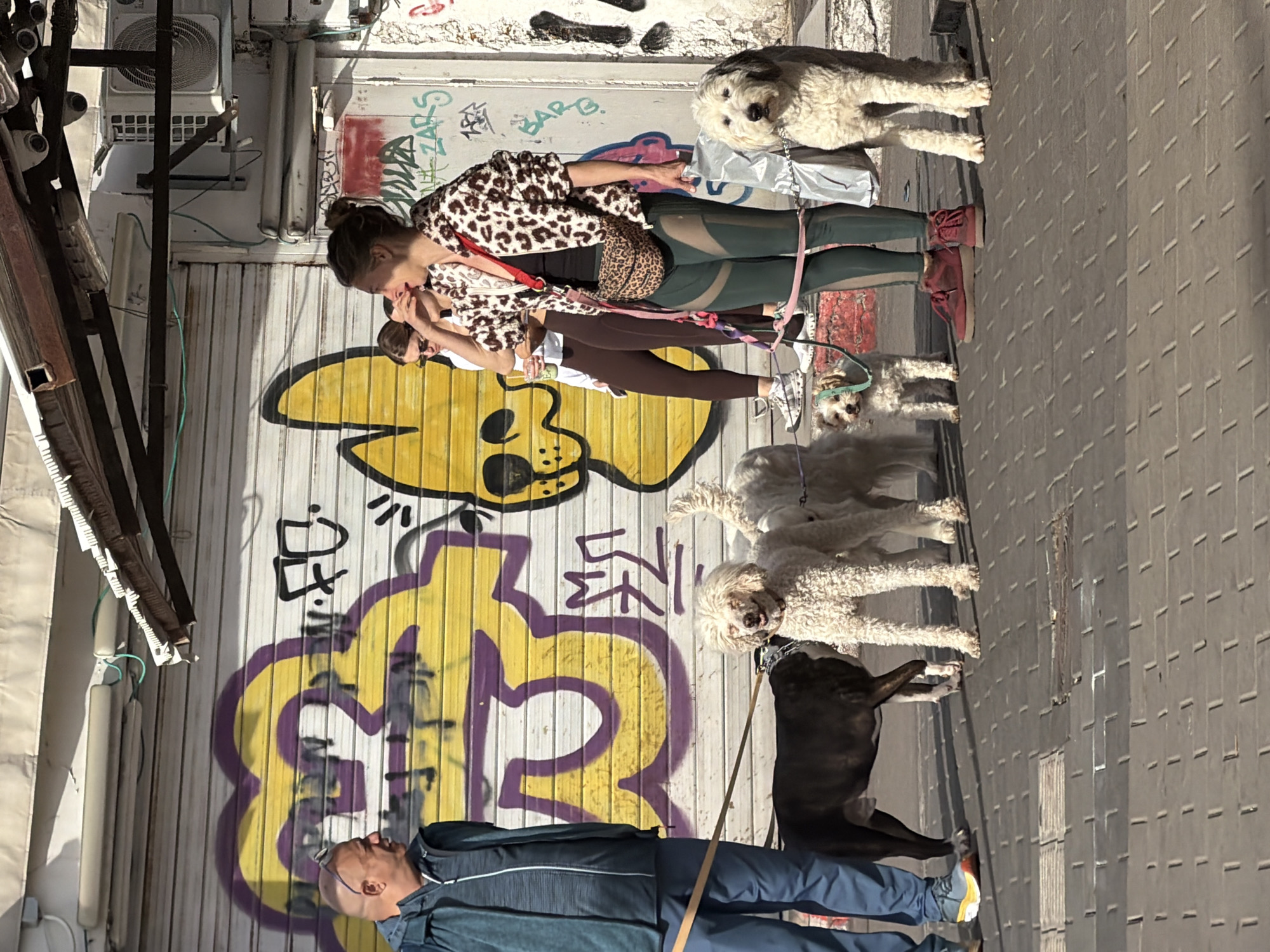 Routine urban life documented across Tel Aviv neighborhoods