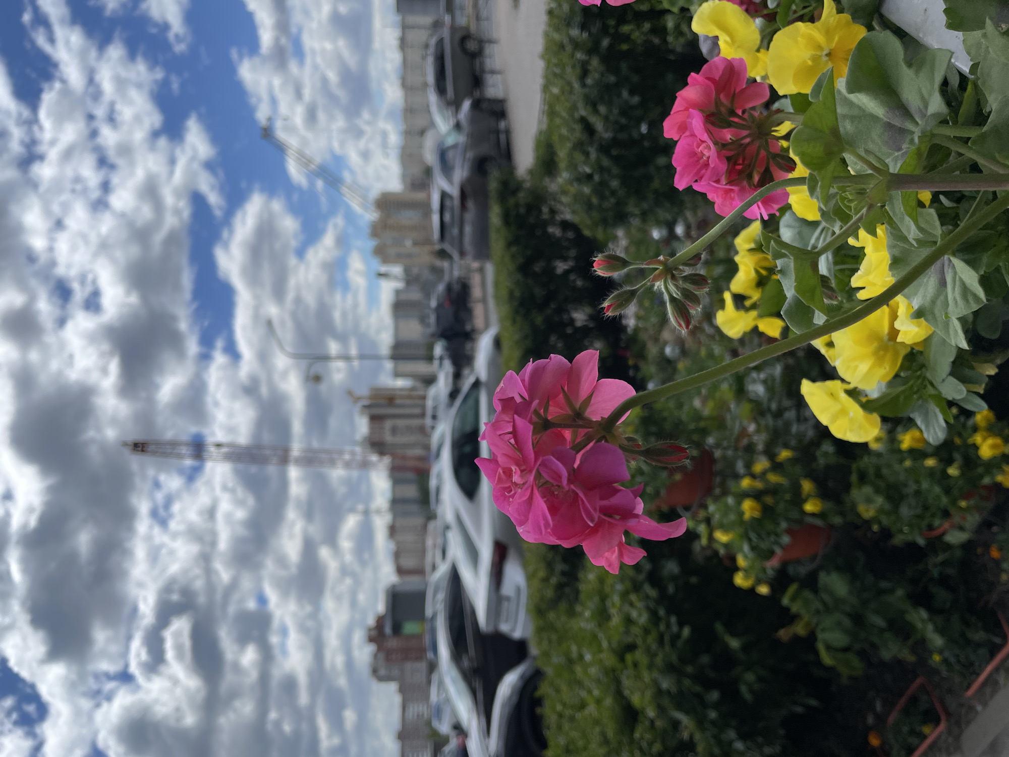 Morning residential scenes documented in Saint Petersburg neighborhood