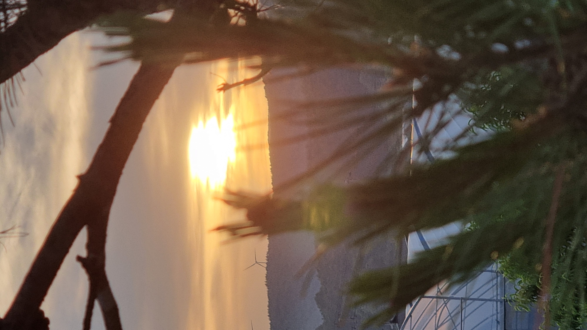 Evening sunset and pet encounters documented in rural South Korea