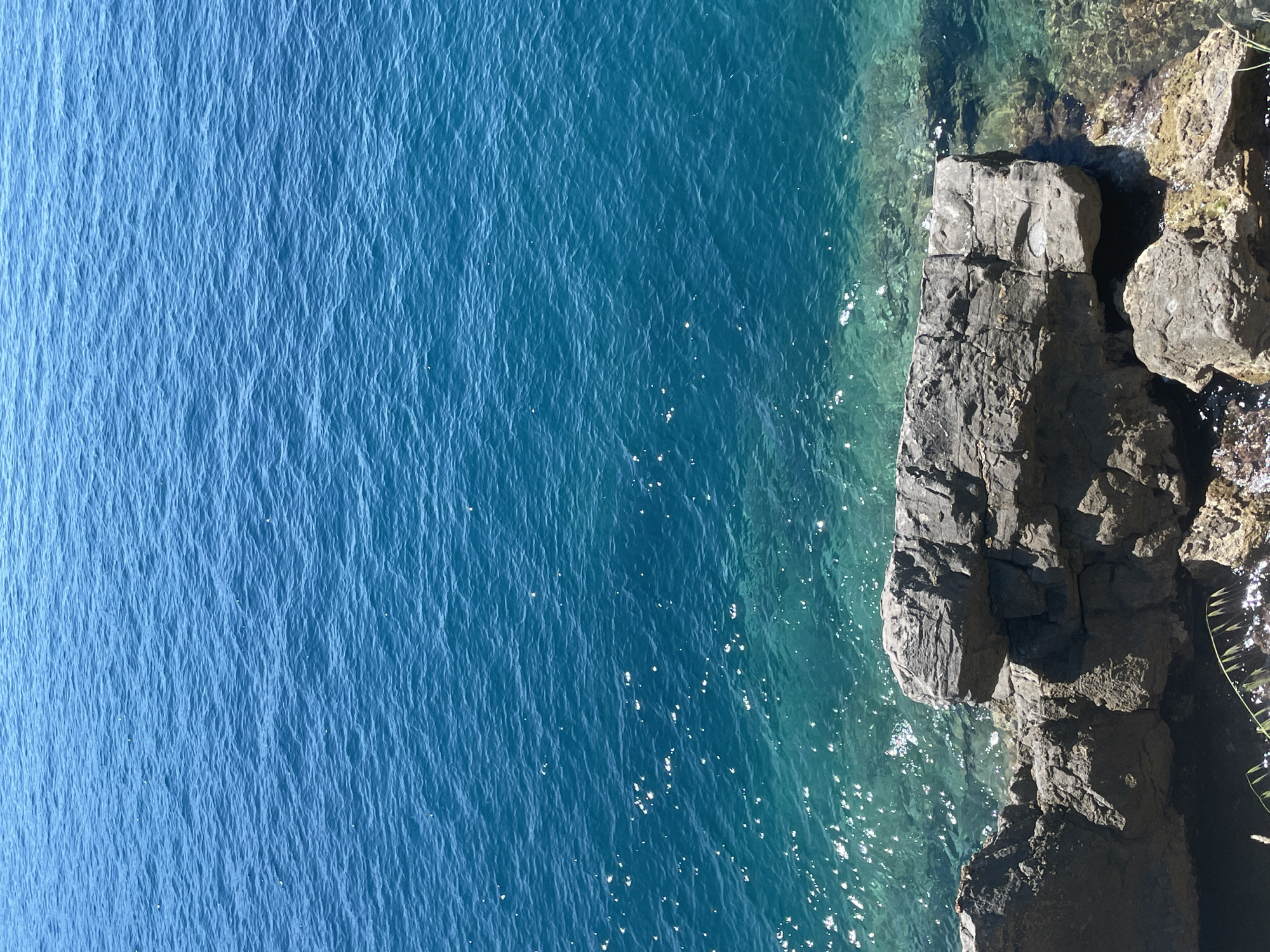 Witnesses document Montenegro's Adriatic coastline near Budva, Boreti