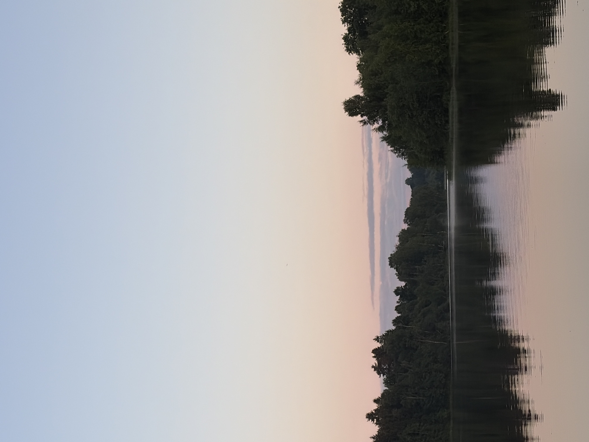 Golden hour at a rural lake spot with dogs, bikes, and trails
