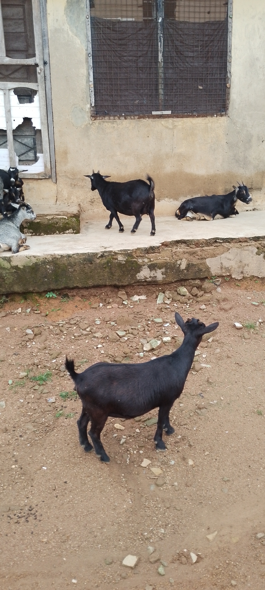 Gboko, Nigeria