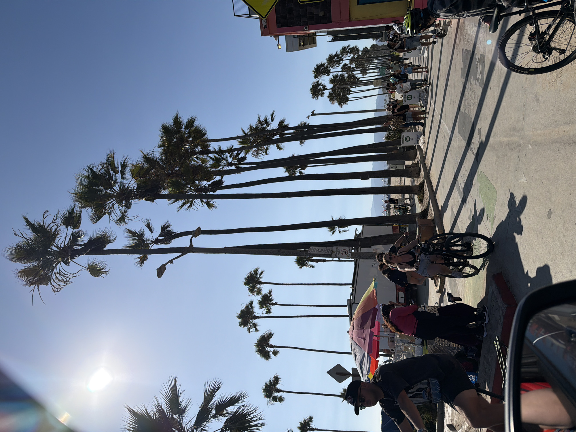 Venice Beach on a bright, busy summer day